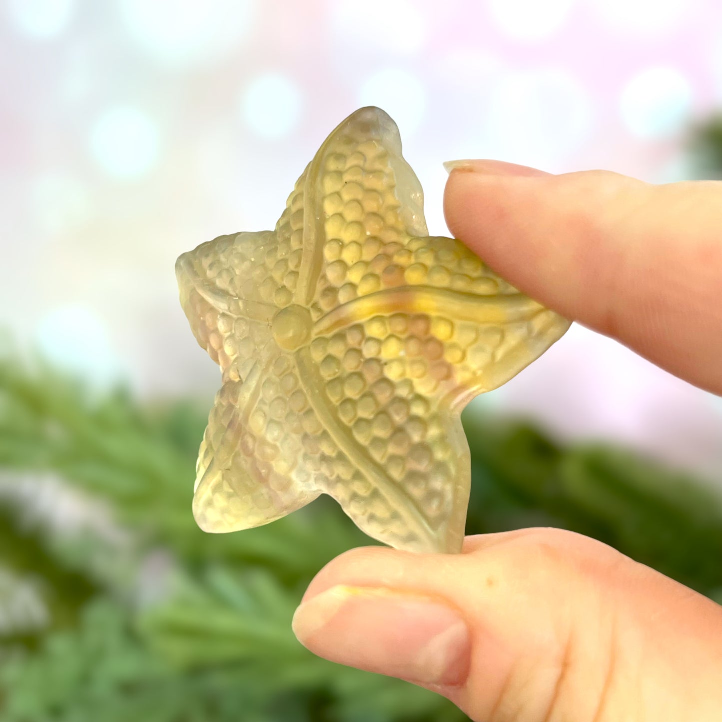 Yellow Fluorite Starfish Carved Gemstone Cabochon Crystal