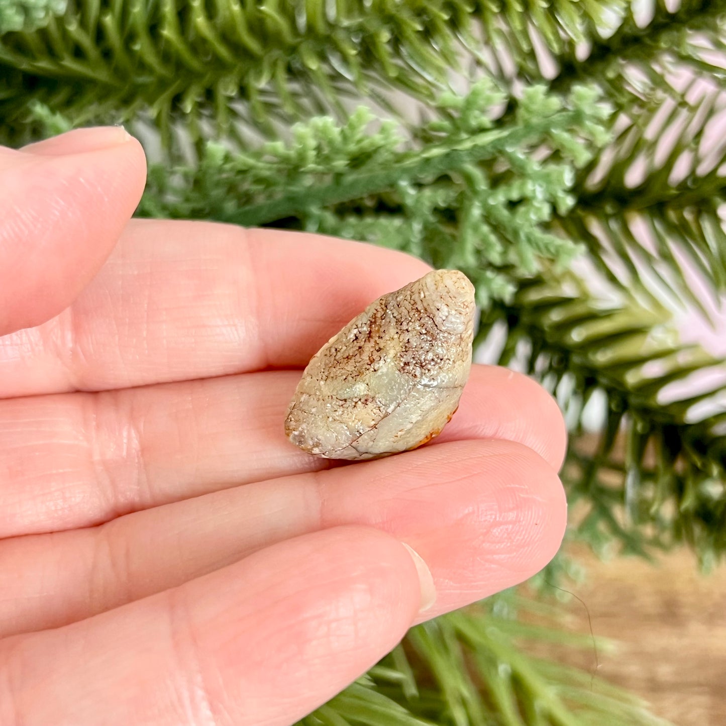 Gobi Desert Agate Natural Nodule