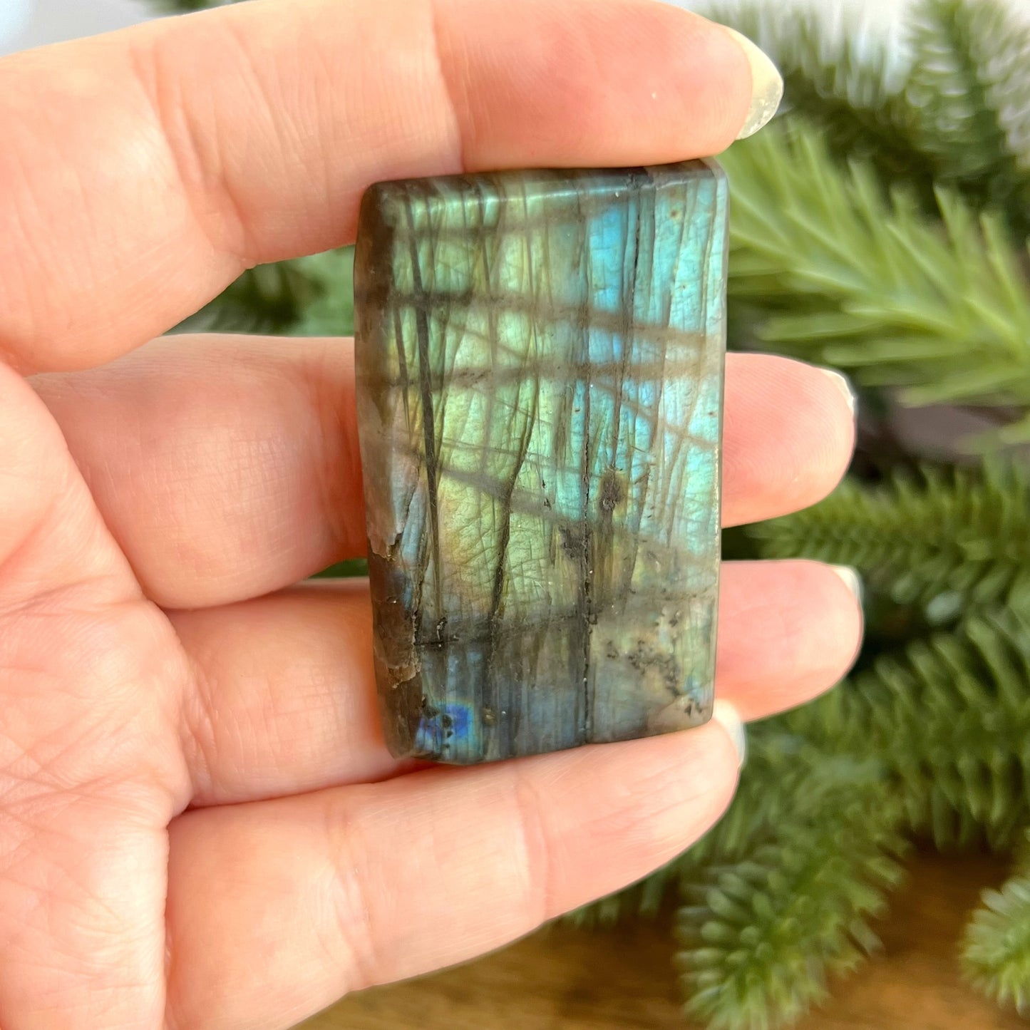 Labradorite Cancer Carved Cabochon
