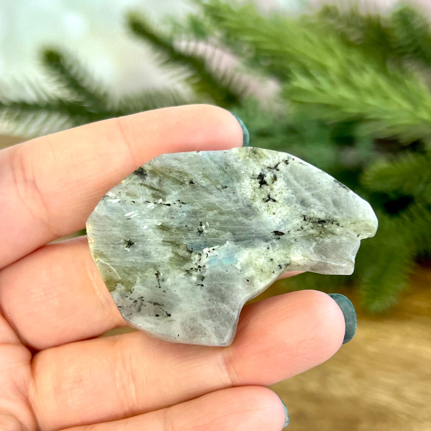 Eagle Labradorite Crystal Carved Cabochon