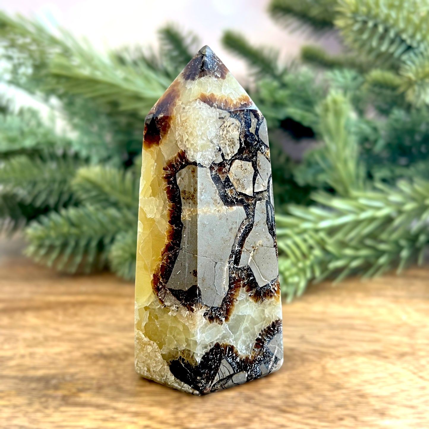 Druzy Septarian Large Crystal Tower