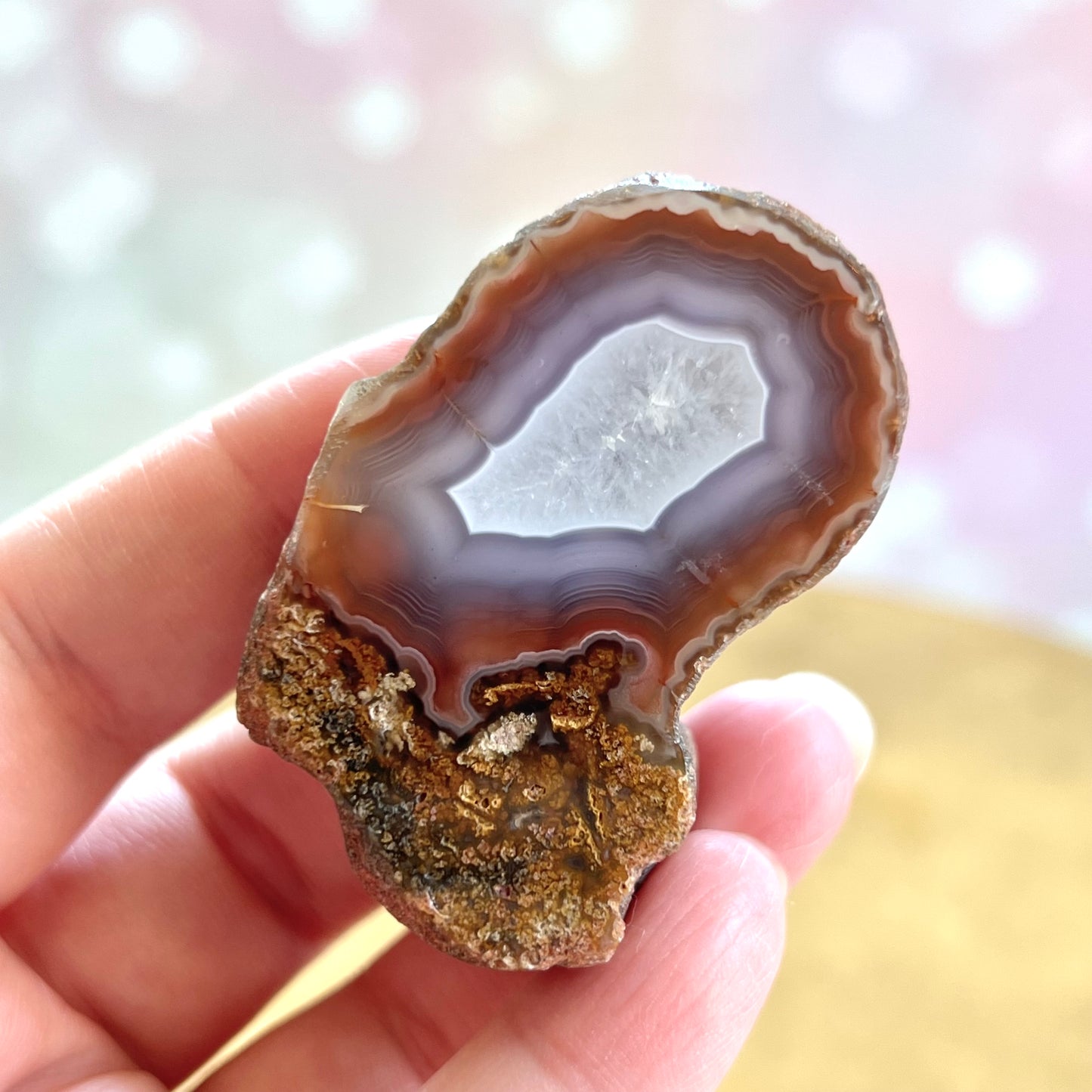 Single Face Polished Red & Gray Agate Specimen