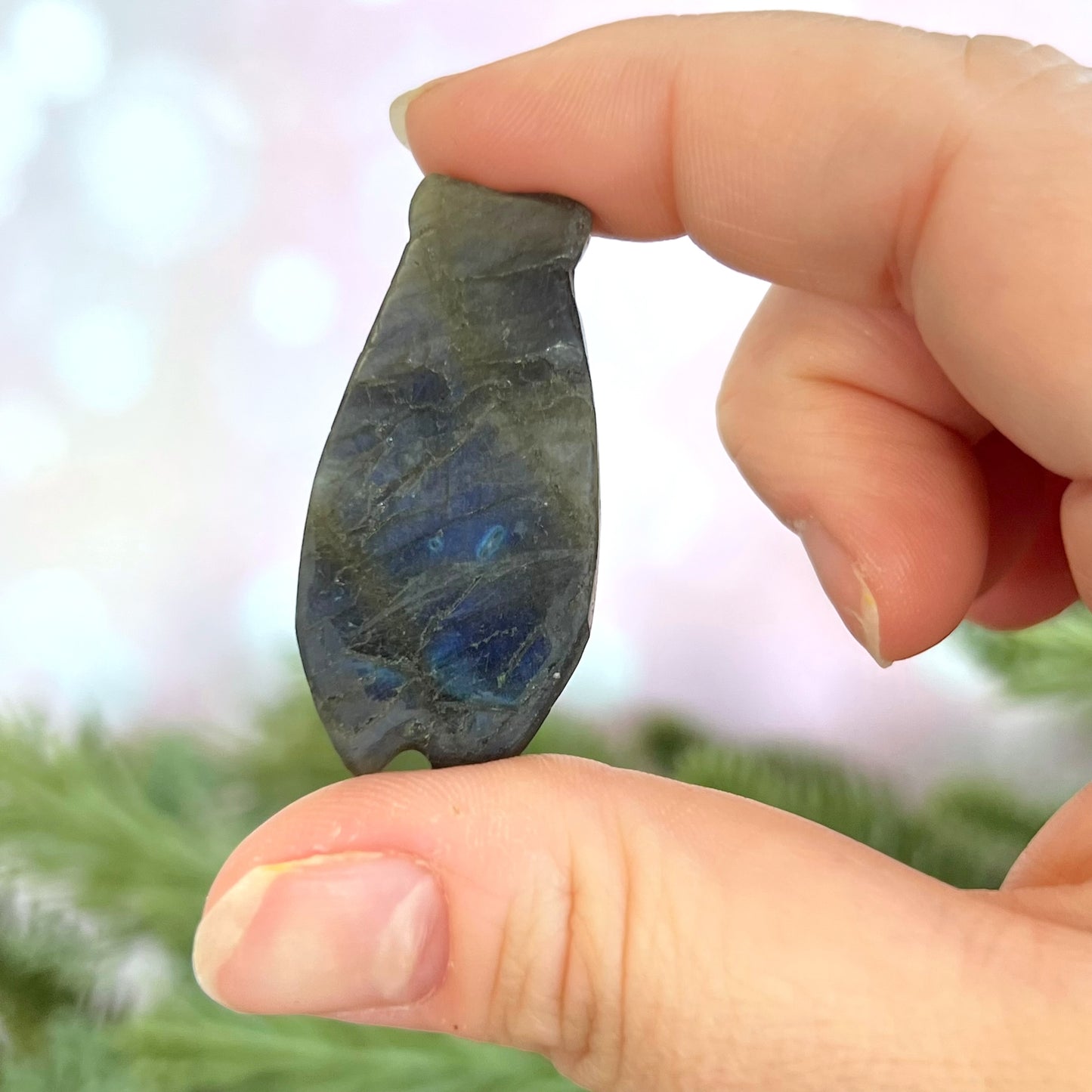 Labradorite Cicada Carved Crystal Cabochon