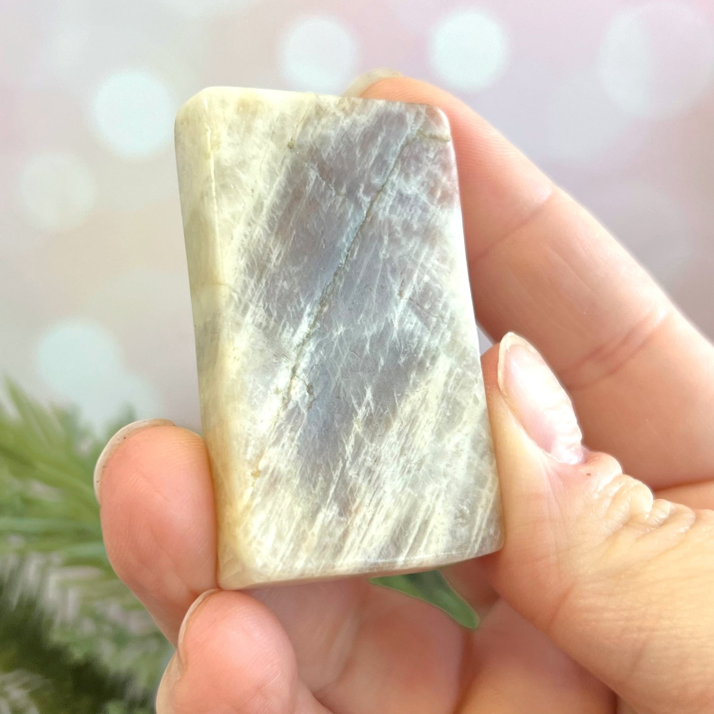 Belomorite Pisces Carved Crystal Cabochon