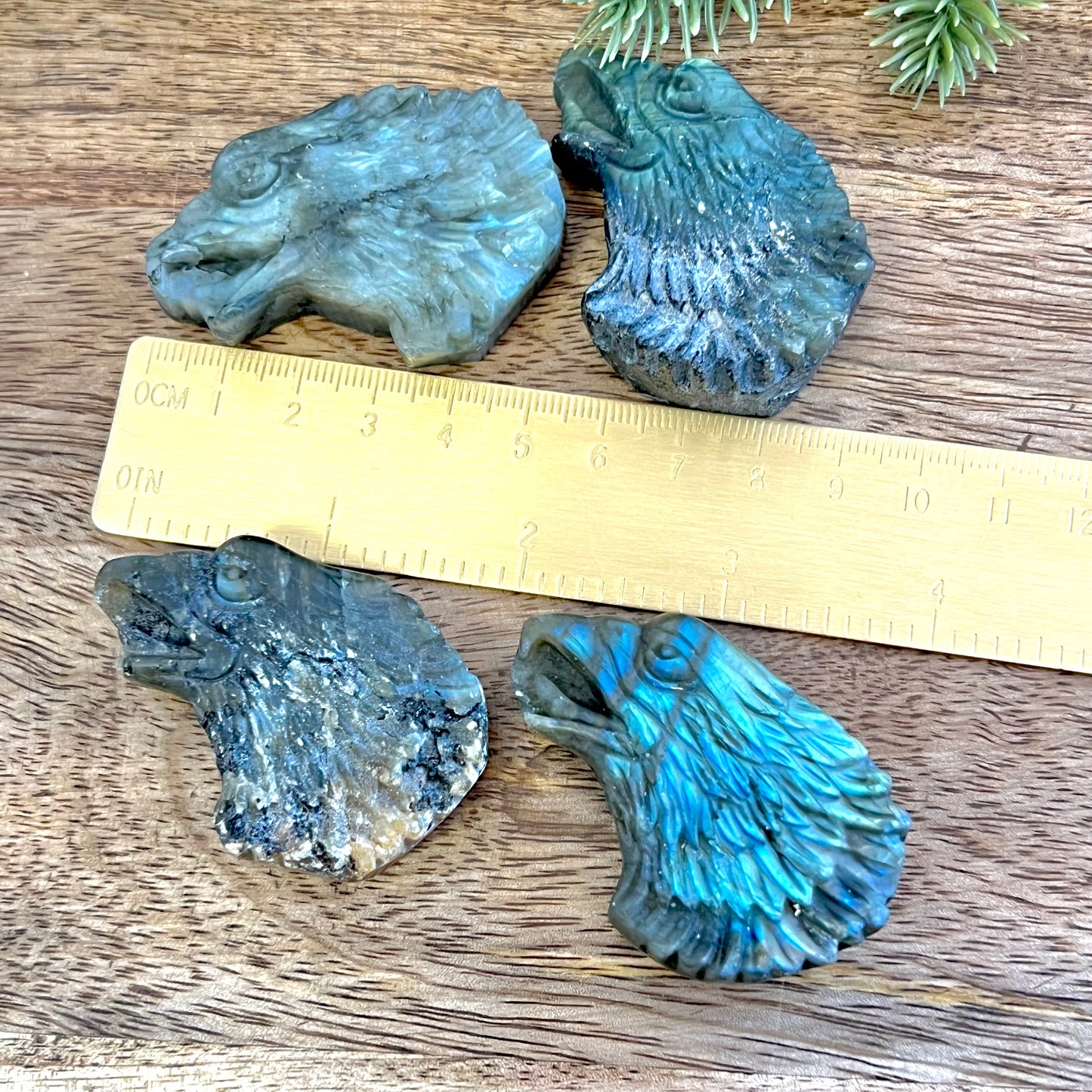 Eagle Labradorite Crystal Carved Cabochon