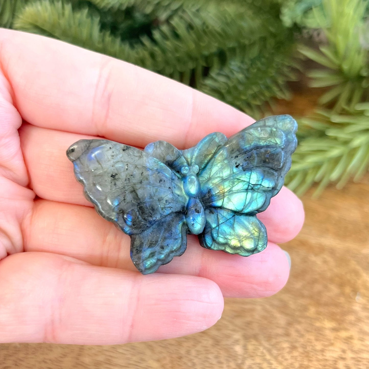 Labradorite Butterfly Carved Cabochon