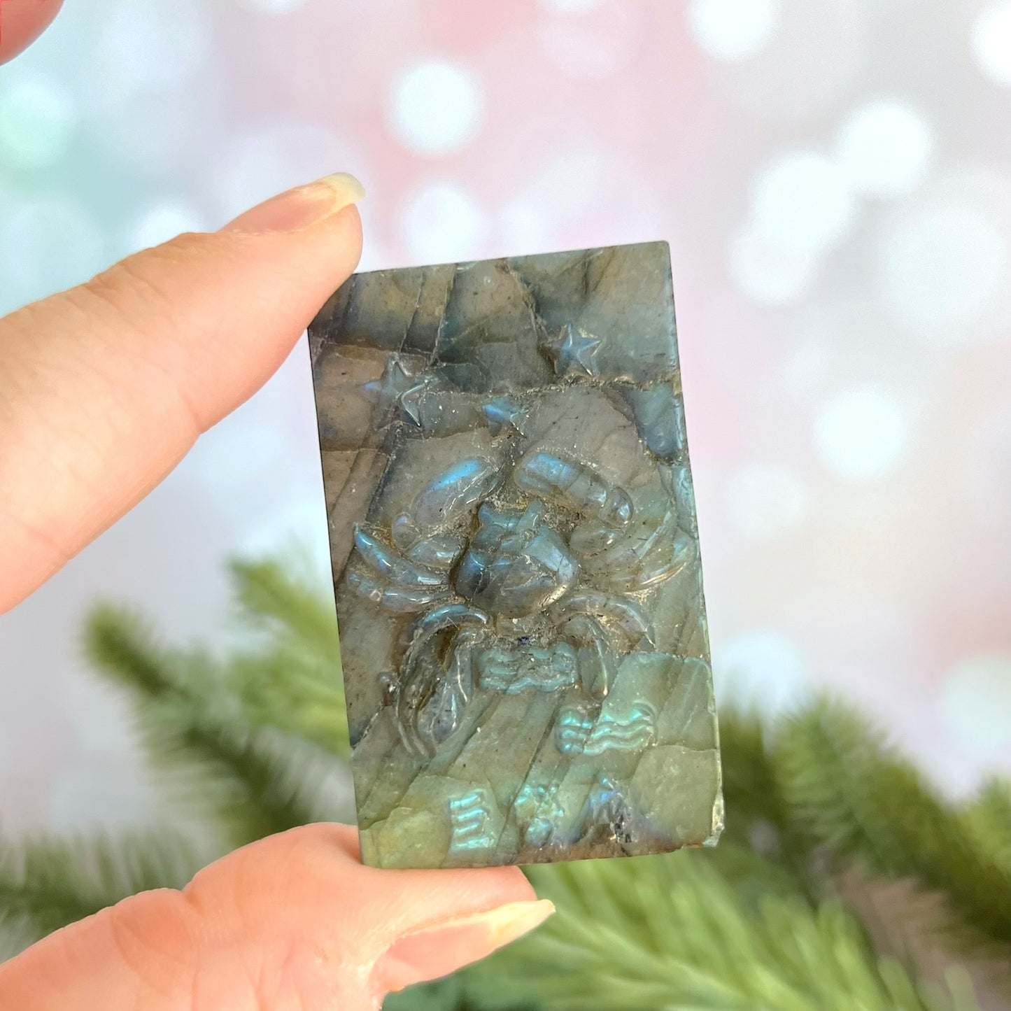 Labradorite Aquarius Carved Cabochon