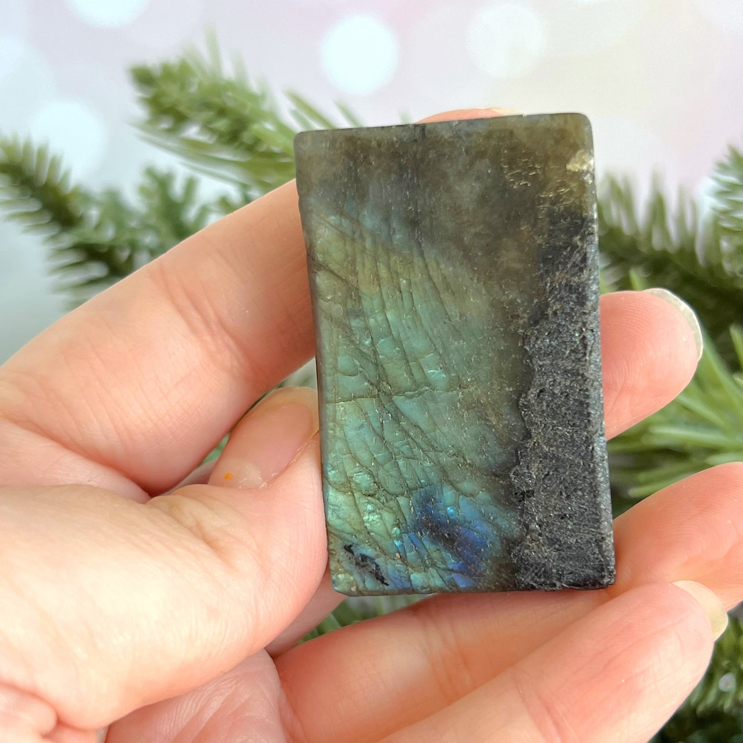 Labradorite Aquarius Carved Cabochon