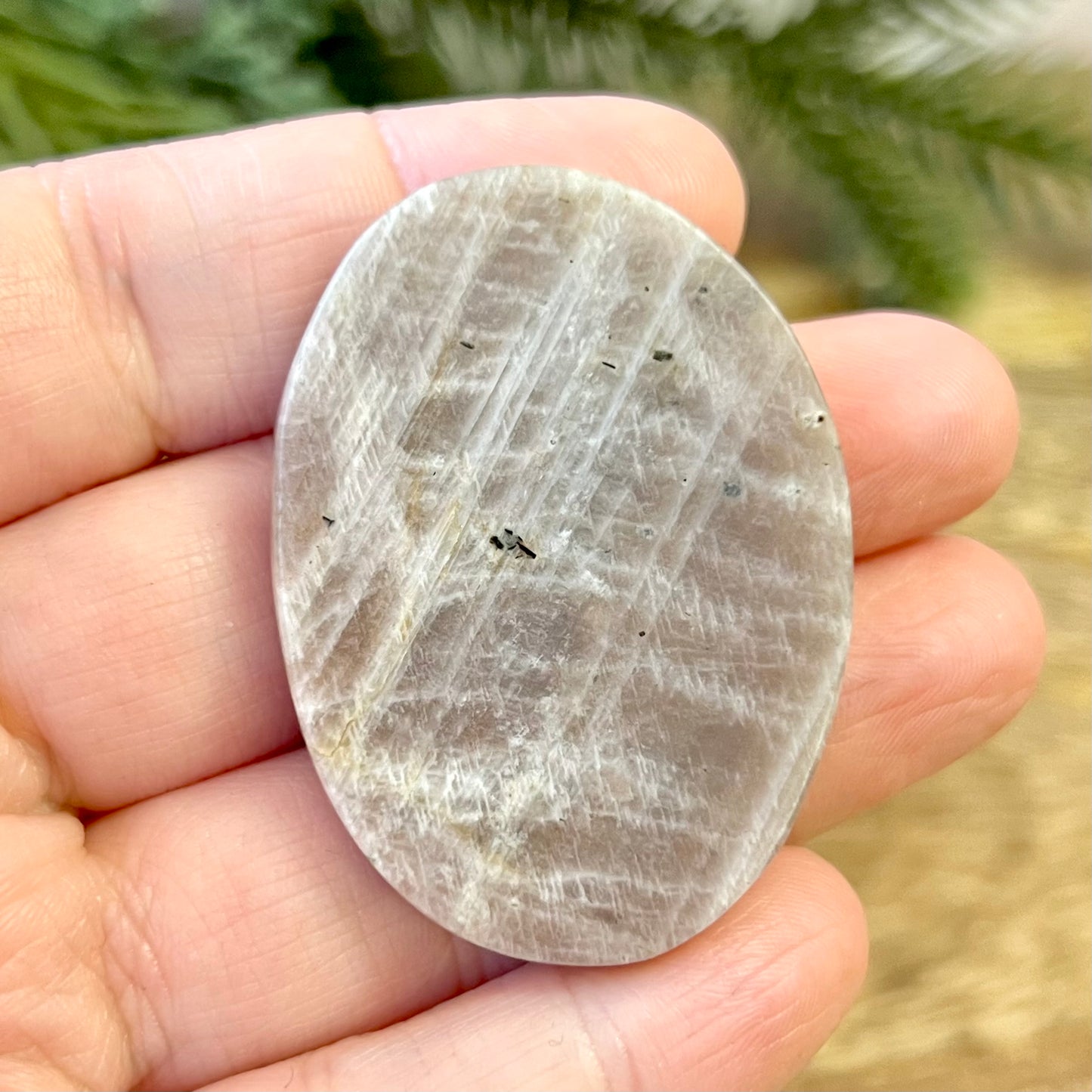 Angel In Flight Belomorite Sunstone in Moonstone Crystal Carved Cabochon