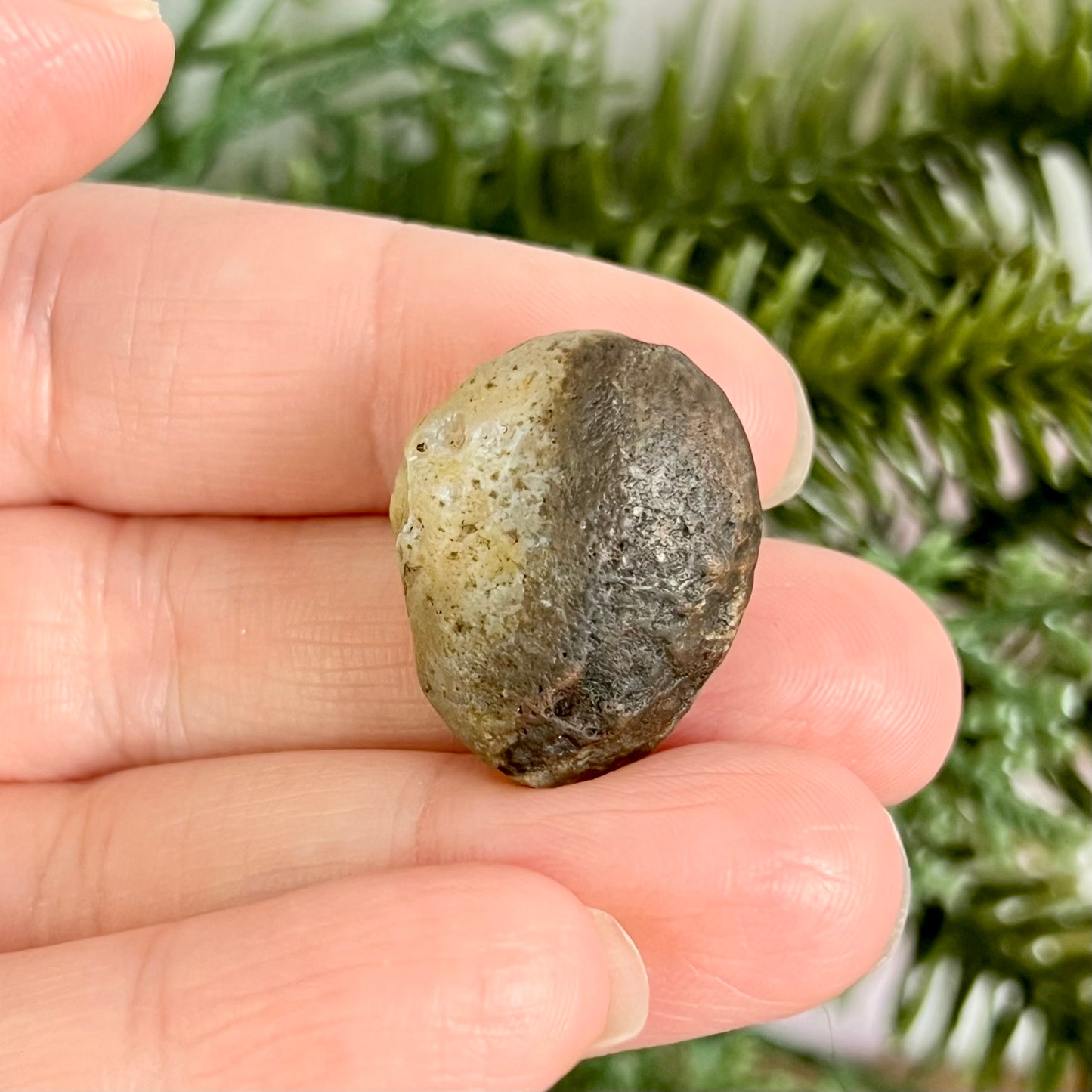 Gobi Desert Agate Natural Nodule