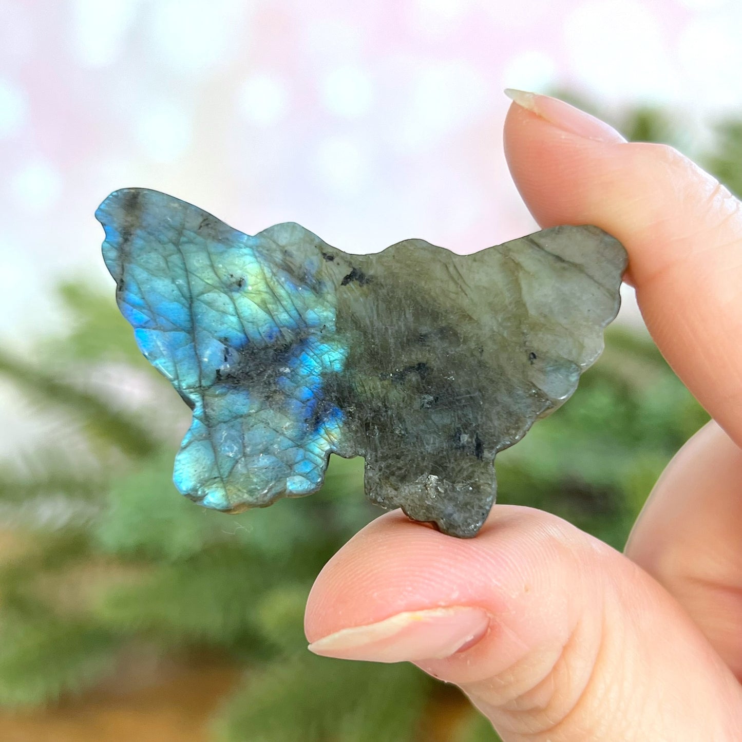 Labradorite Butterfly Carved Cabochon