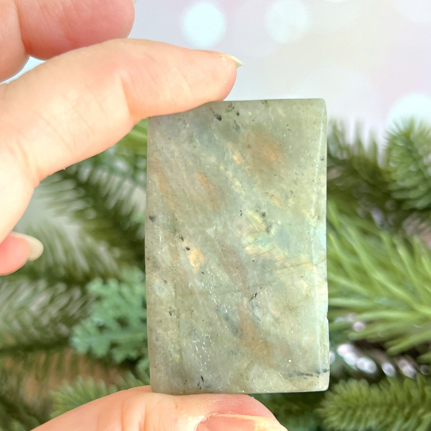Labradorite Aquarius Carved Cabochon