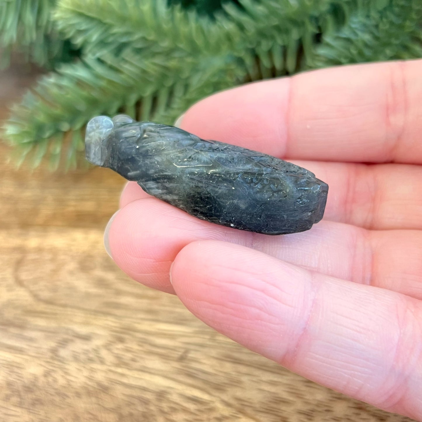 Labradorite Cicada Carved Crystal Cabochon