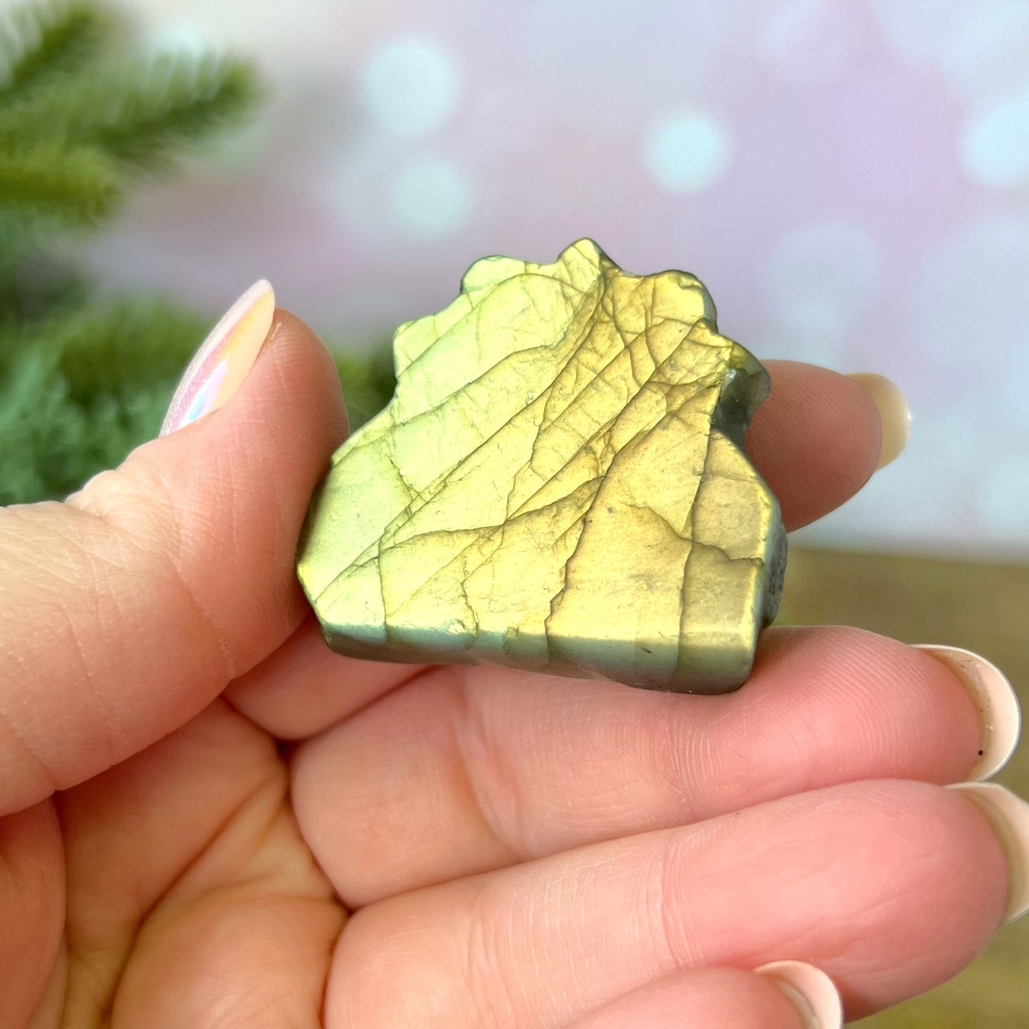 Labradorite Sun Carved Cabochon