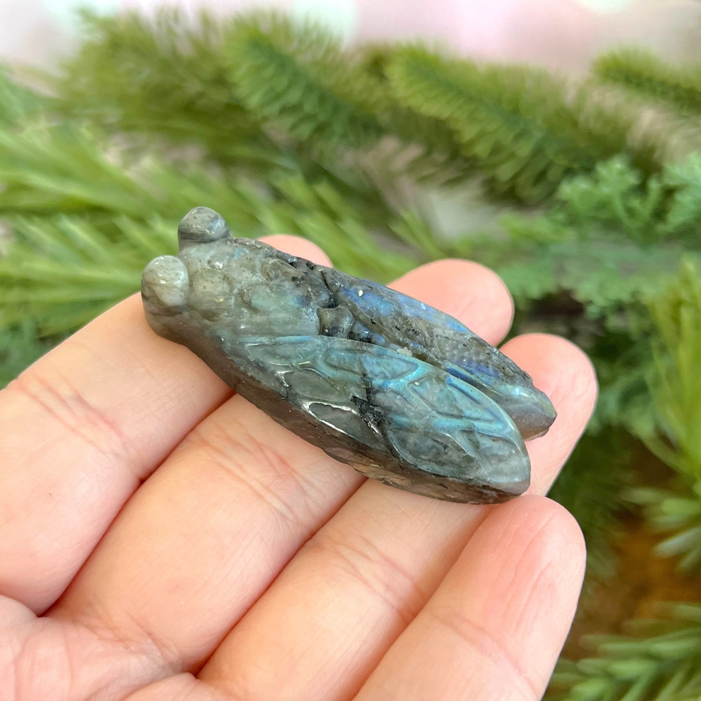 Labradorite Cicada Carved Crystal Cabochon