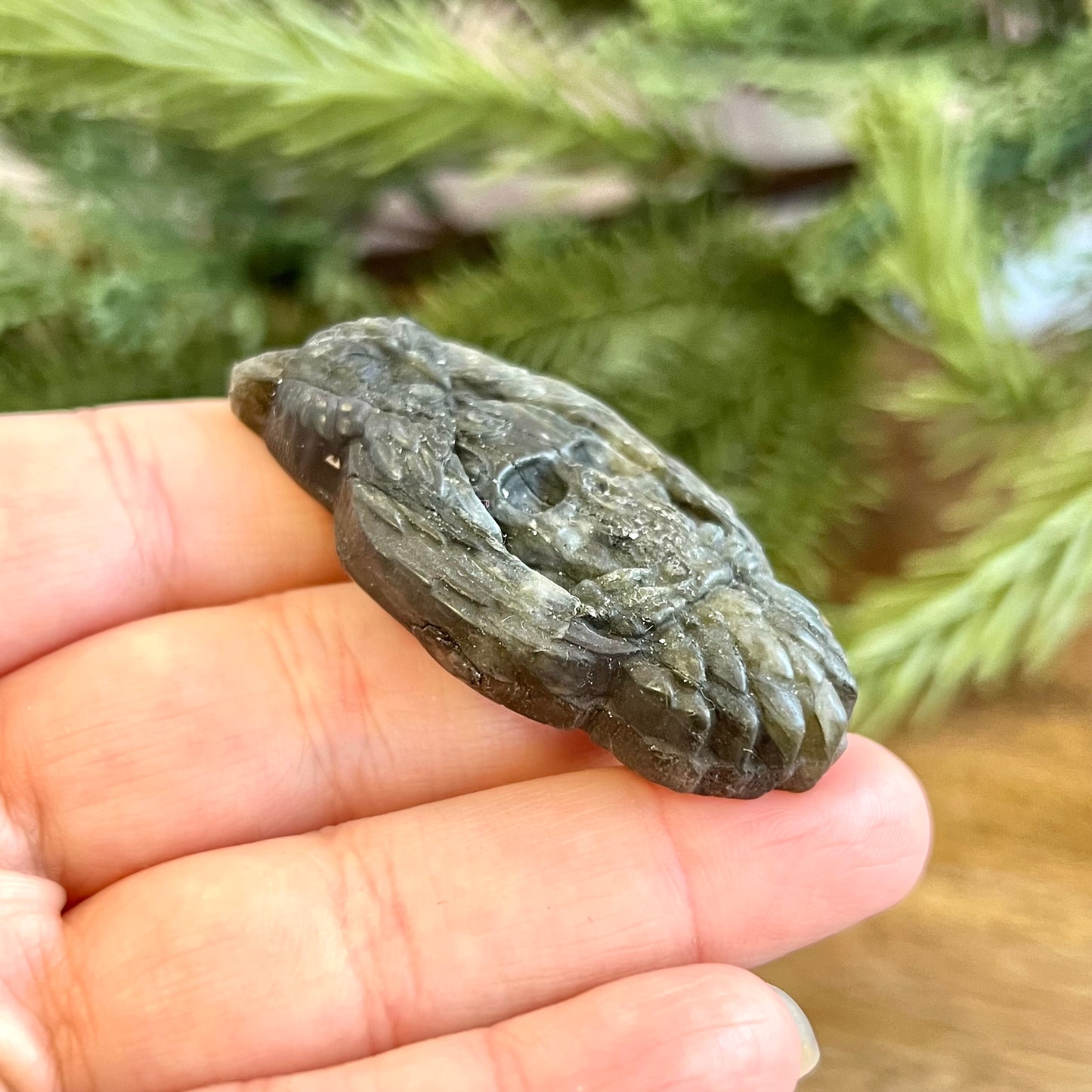 Owl on Skull Labradorite Crystal Carved Cabochon