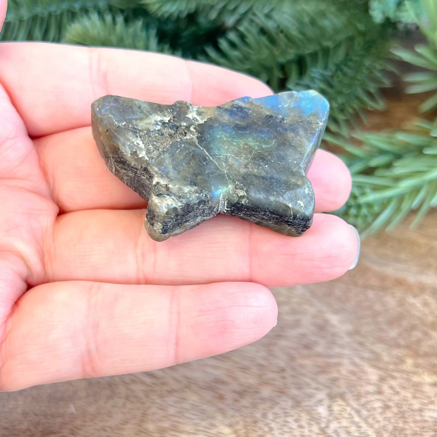 Labradorite Butterfly Carved Cabochon