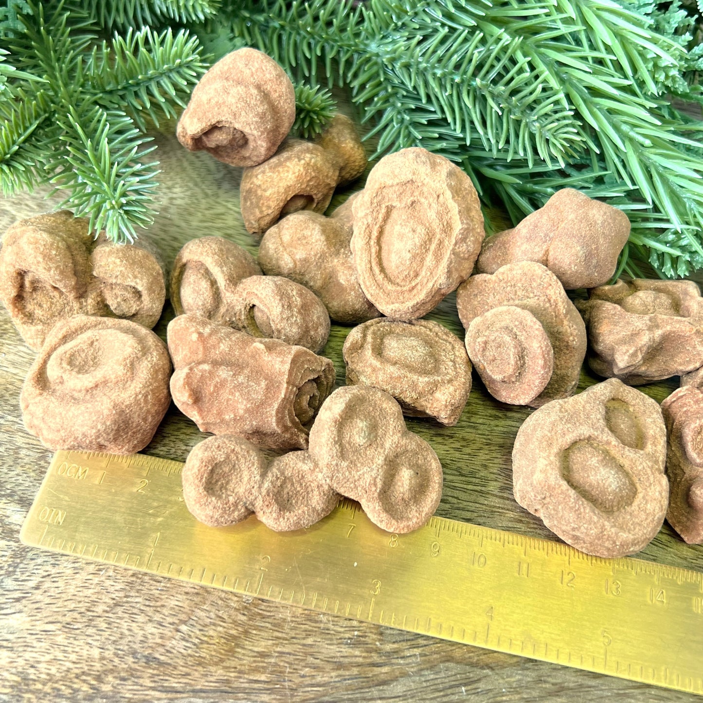 Stromatolite Fossil Raw Stone - You get 1