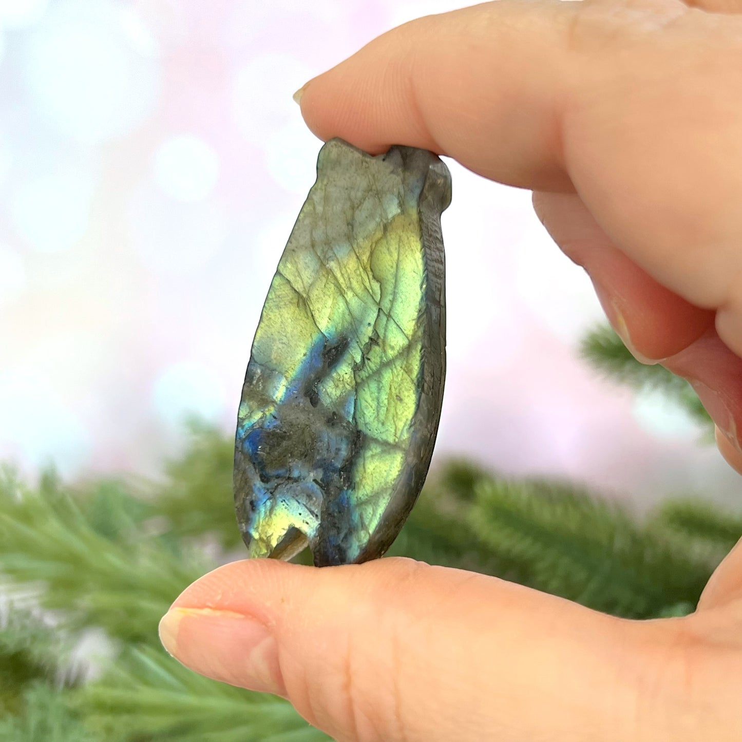 Labradorite Cicada Carved Crystal Cabochon