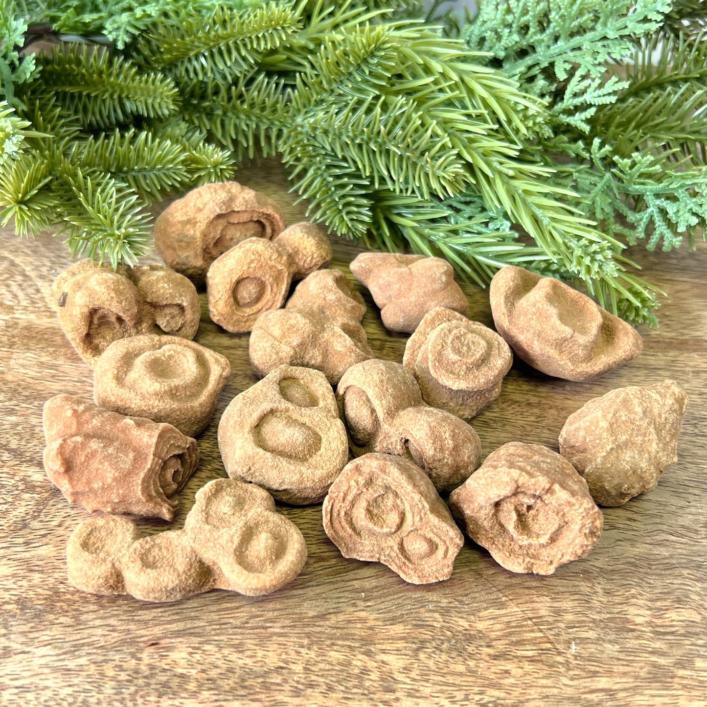 Stromatolite Fossil Raw Stone - You get 1
