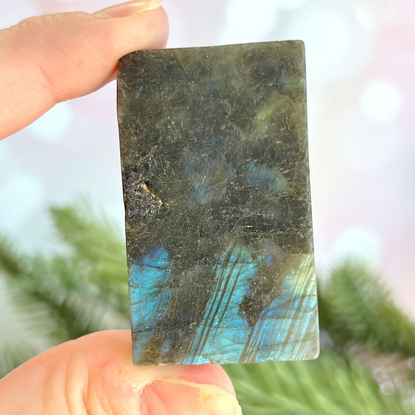 Labradorite Aquarius Carved Cabochon