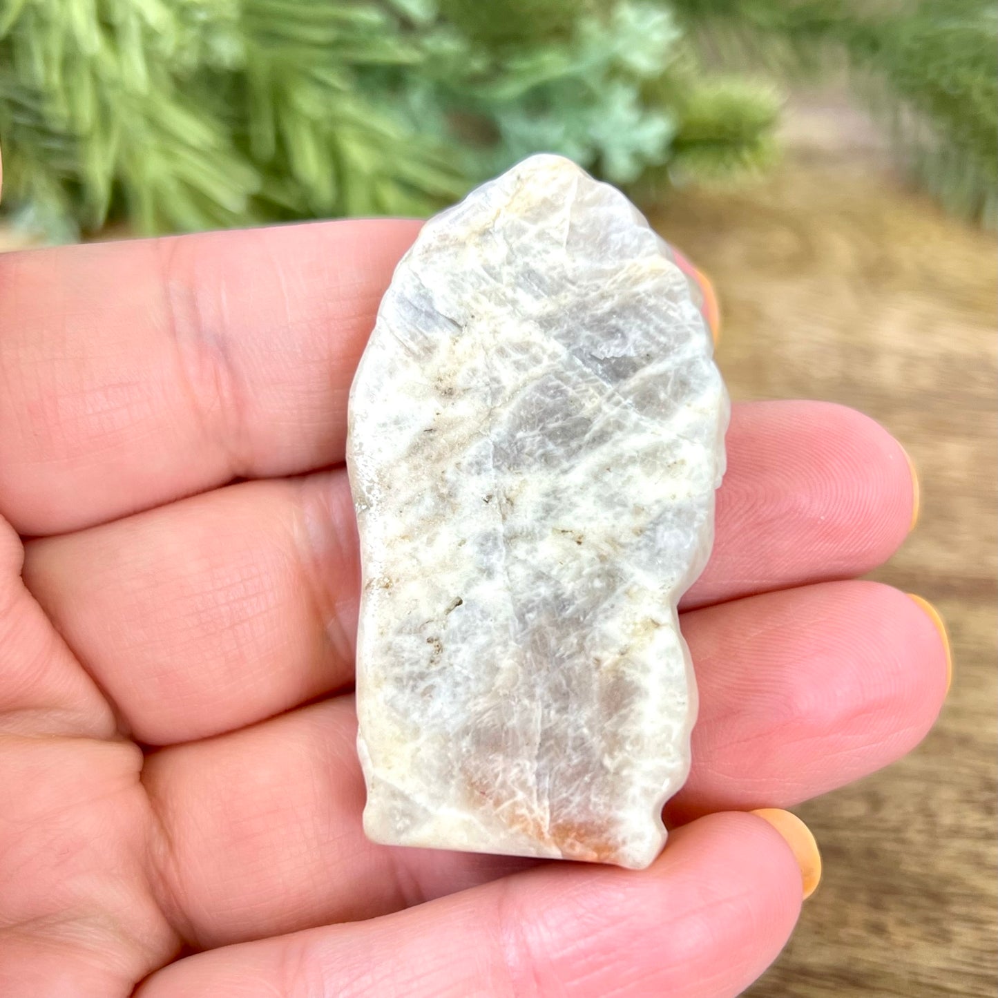 a person holding a rock in their hand