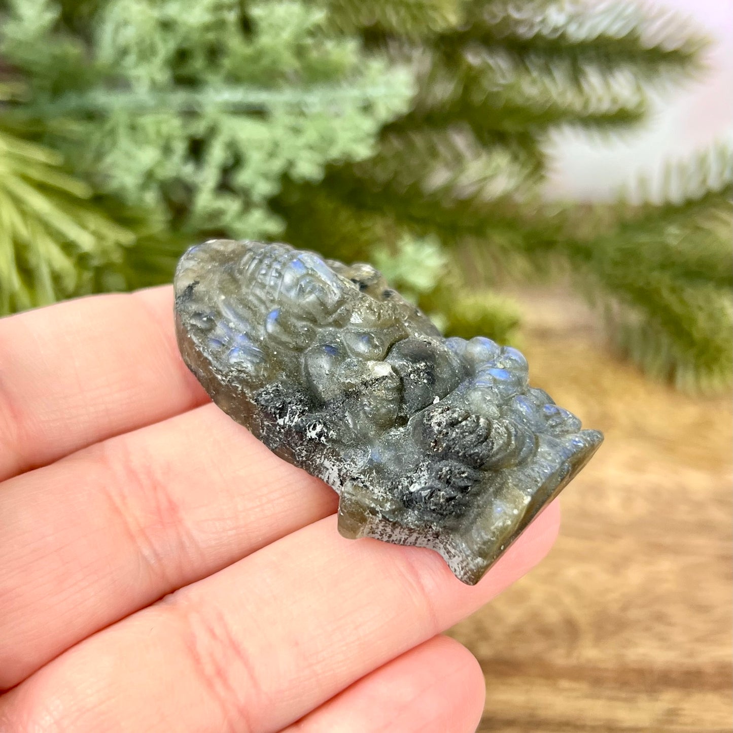 a person holding a piece of rock in their hand