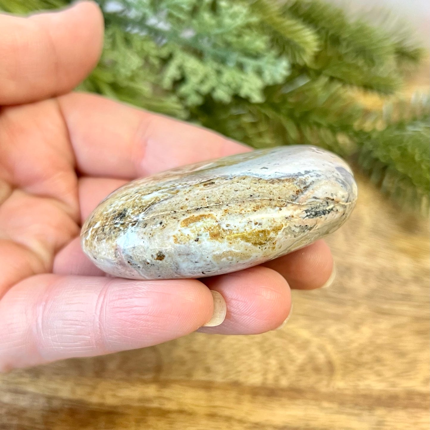 a person holding a rock in their hand