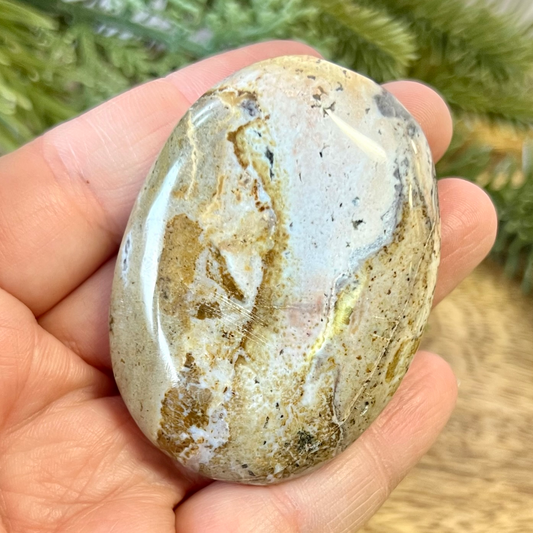 a person holding a rock in their hand