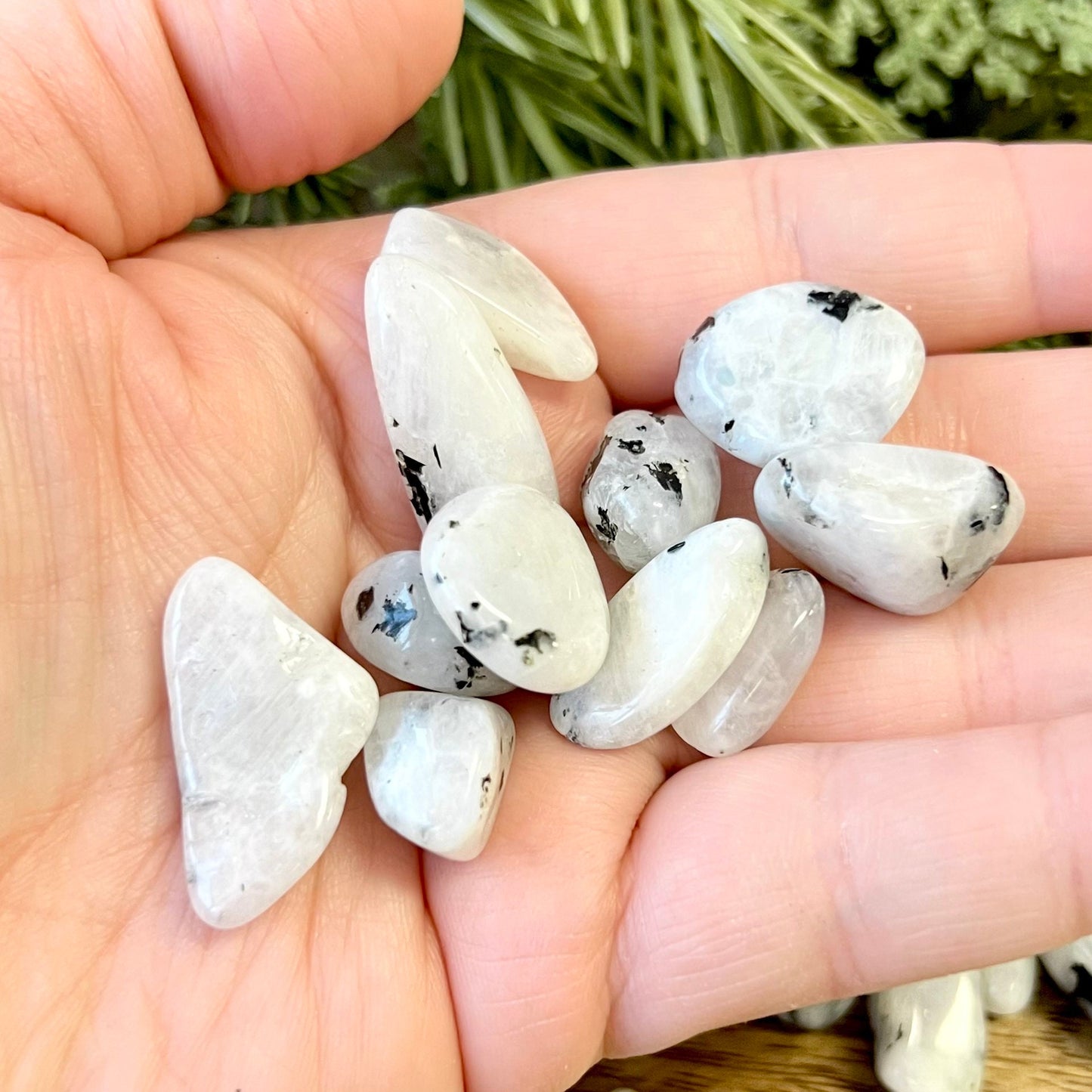 Rainbow Moonstone Tumbled Crystals - You get one