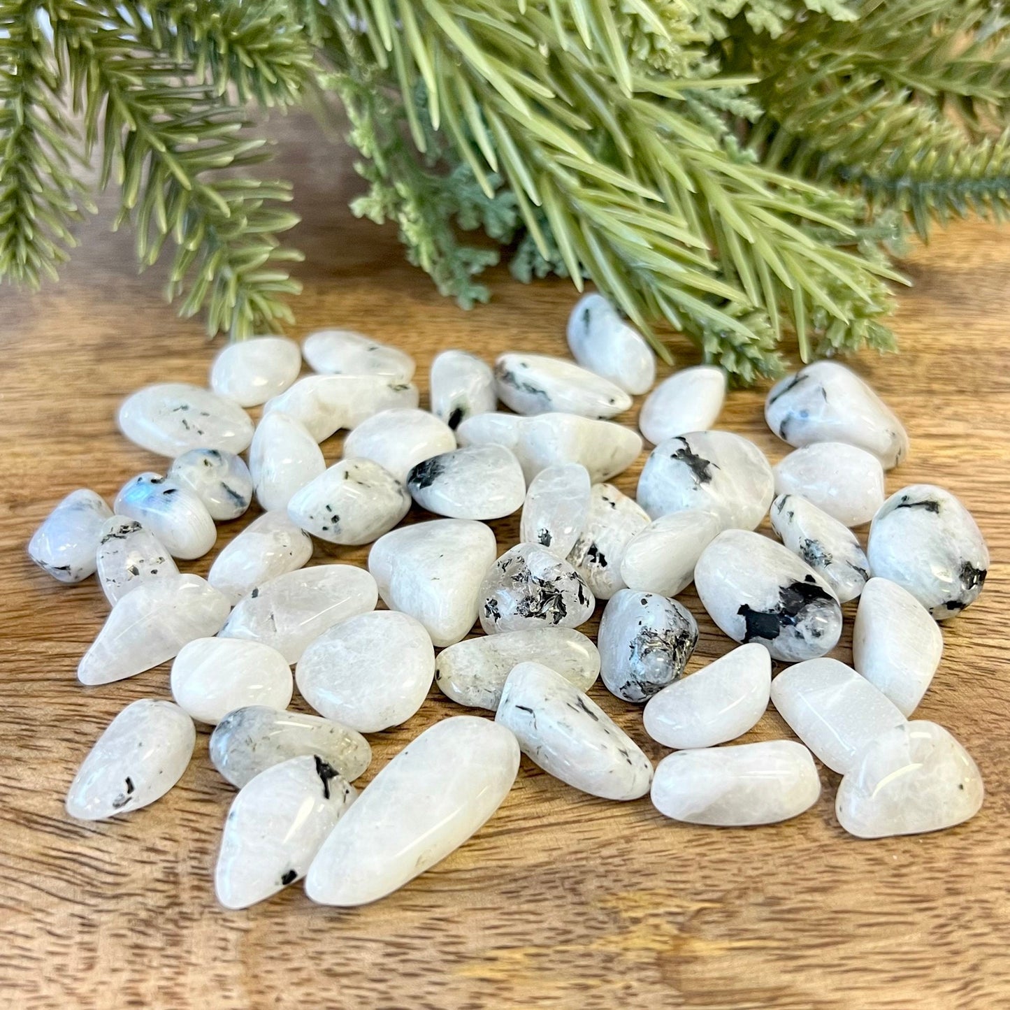 Rainbow Moonstone Tumbled Crystals - You get one