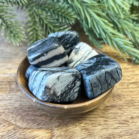 Spider Web Jasper Tumbled Crystal - Multiple Sizes