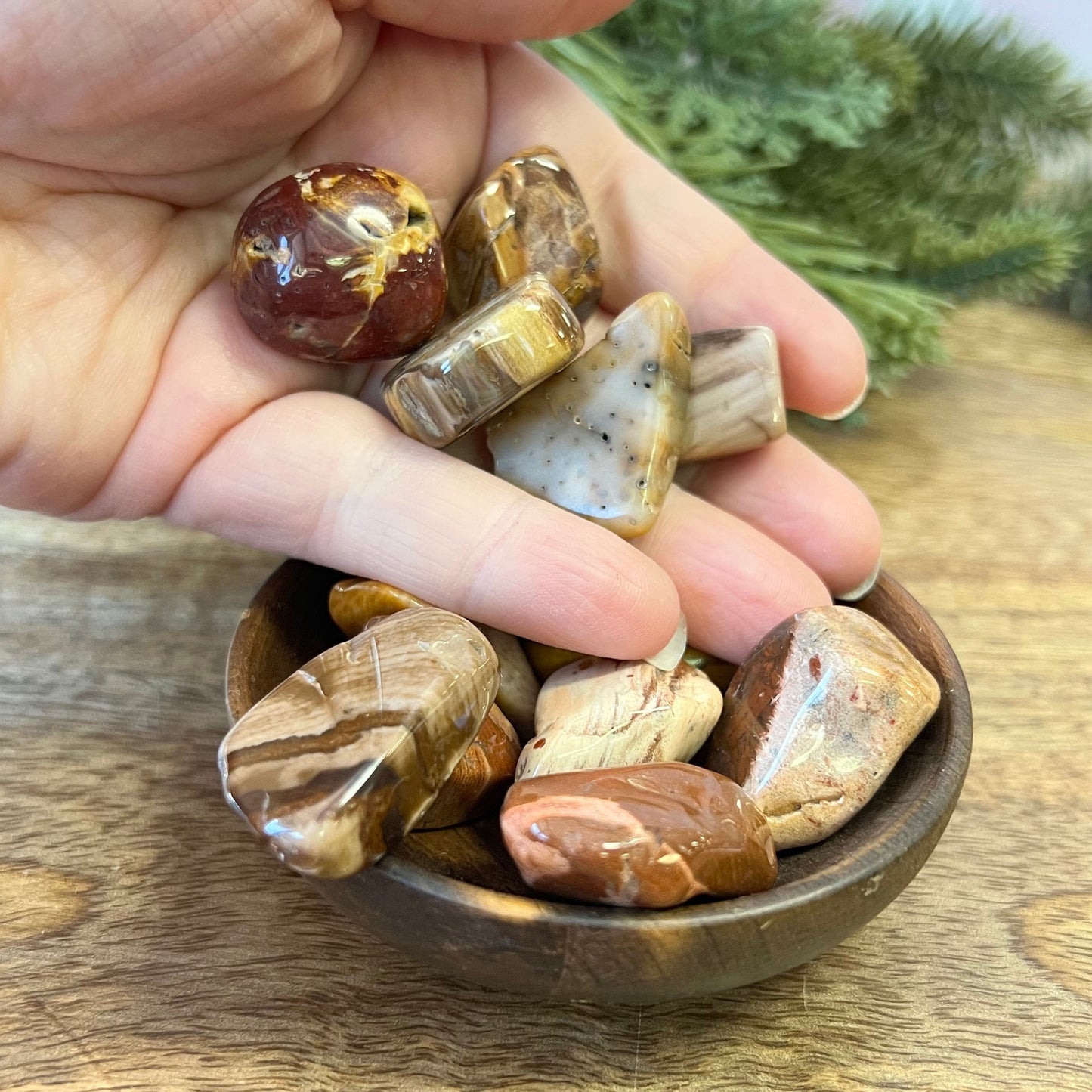 a group of colorful petrified Wood tumbled crystals in a wooden bowl