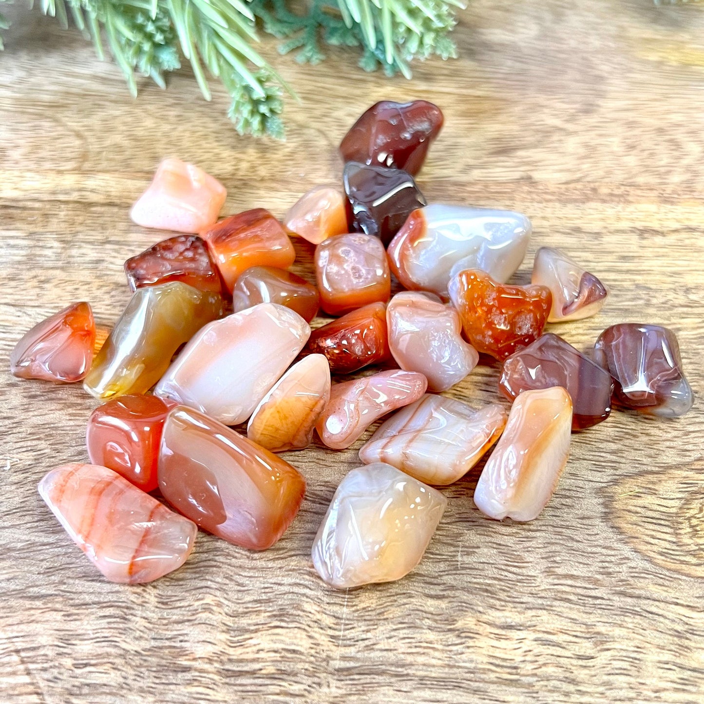 Carnelian Tumbled Crystals - You get one