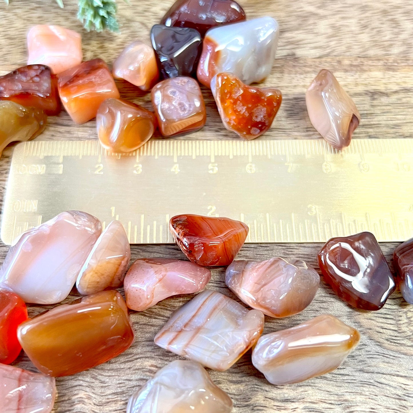 Carnelian Tumbled Crystals - You get one