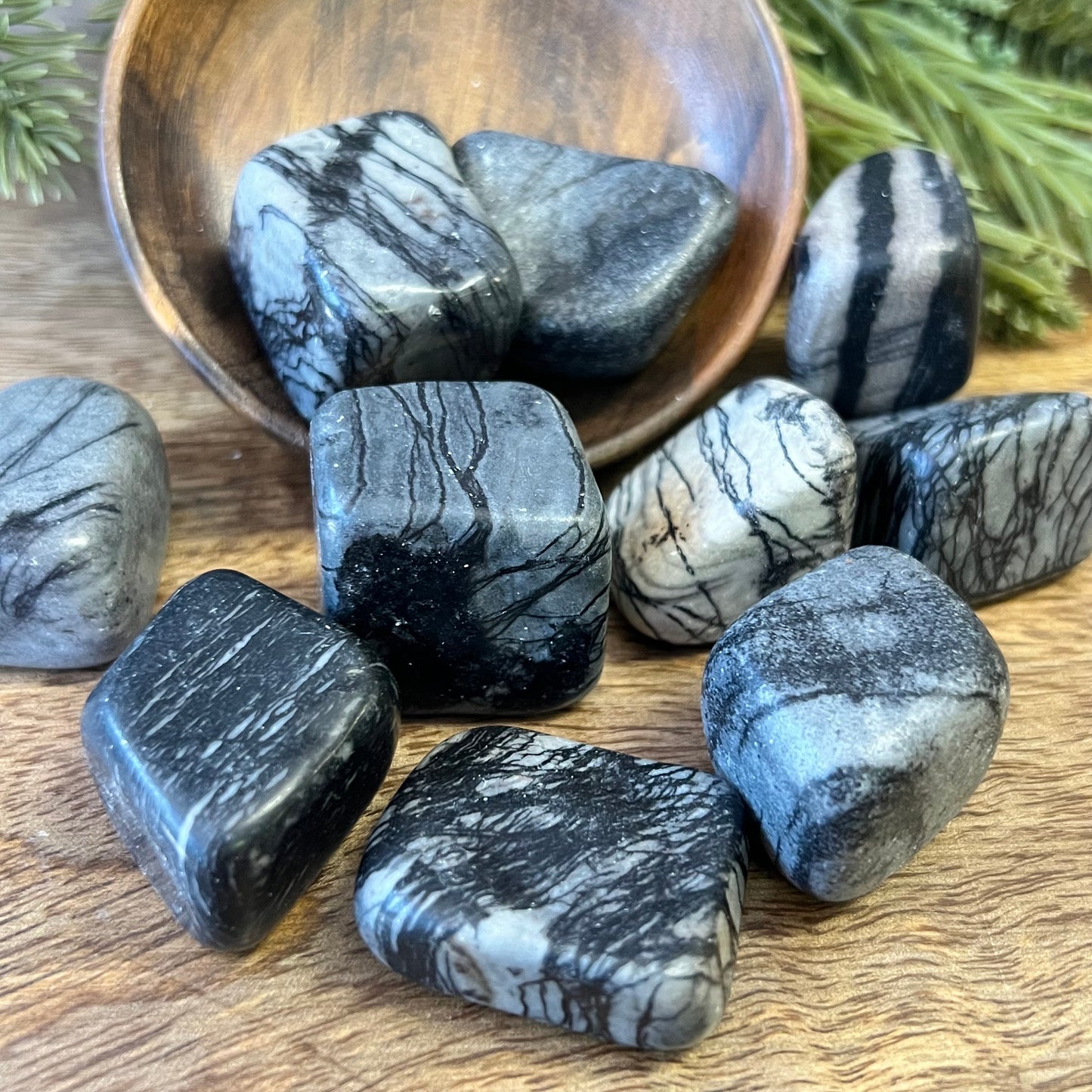 Spider Web Jasper Tumbled Crystal - Multiple Sizes
