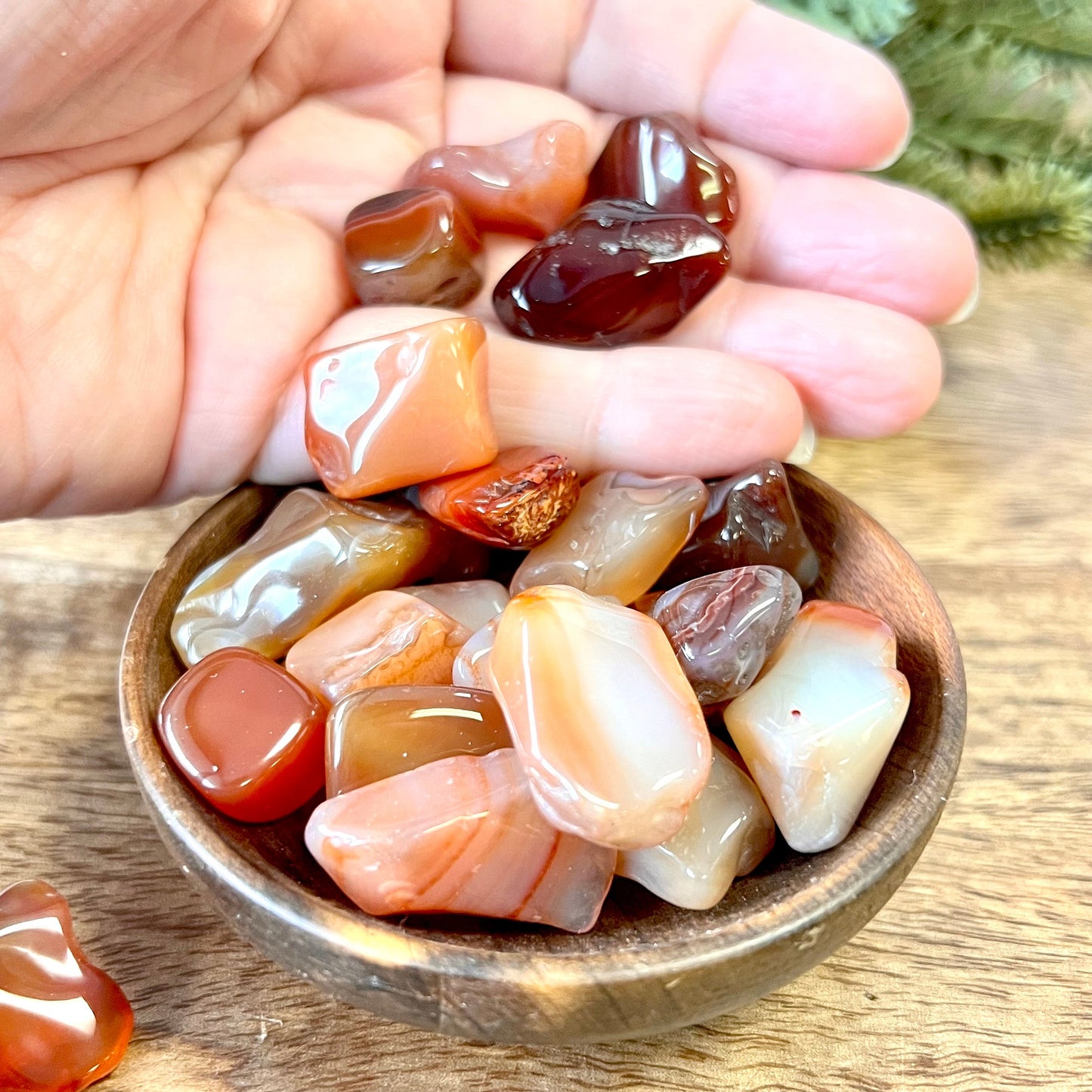 Carnelian Tumbled Crystals - You get one