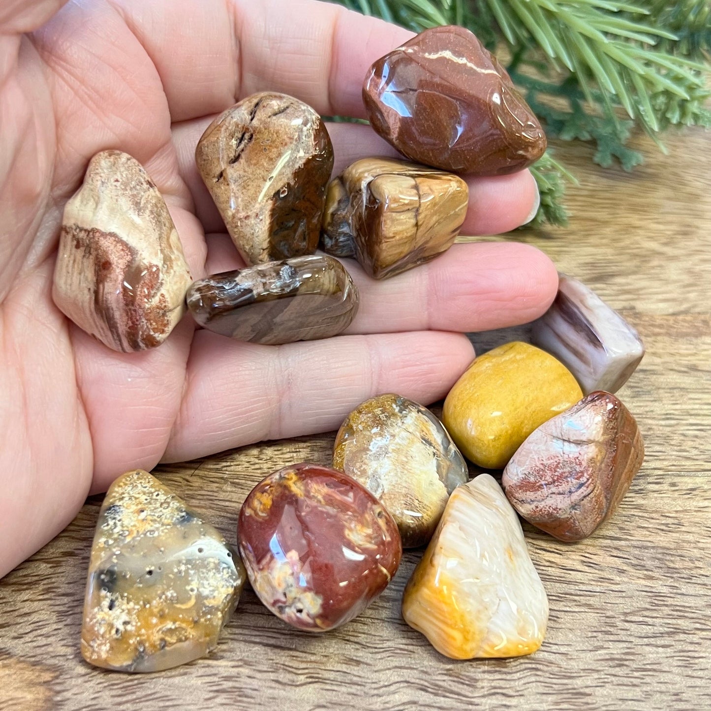 a group of colorful petrified Wood tumbled crystals in a person's hand