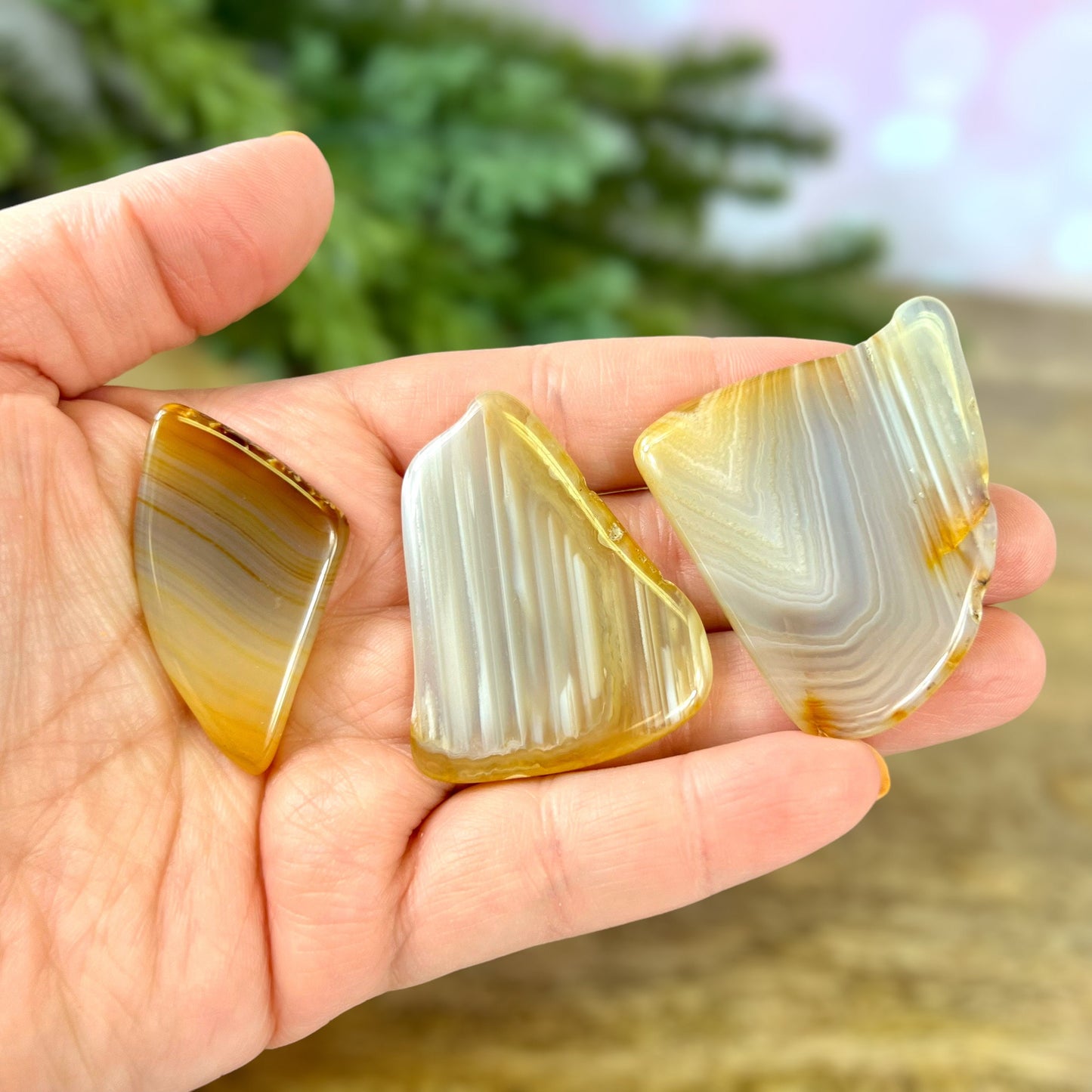 A person holding a bunch of polished agate slices in their hand. Agate crystals are natural and not dyed.