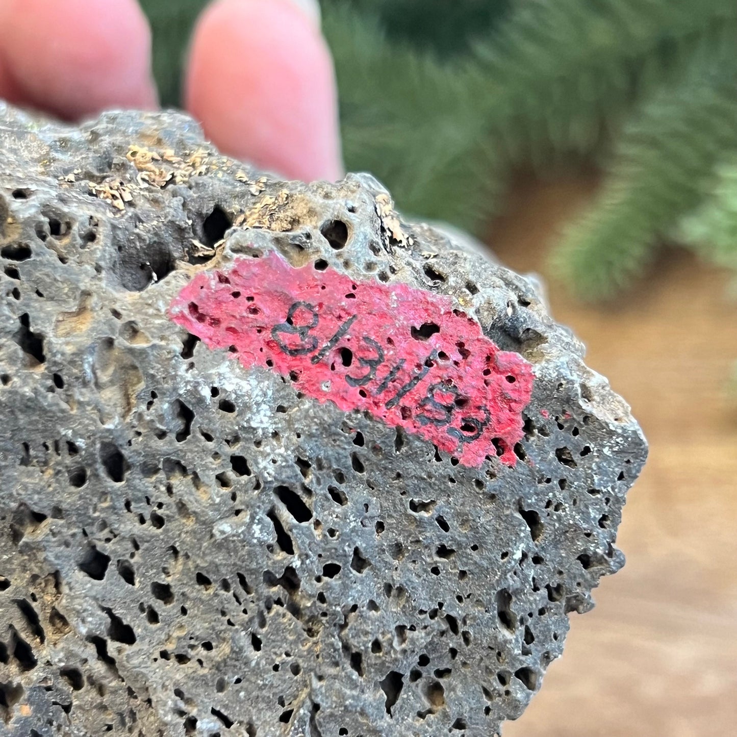 Image of a large, rough chunk of black Lava Rock Stone on a wooden table. Has rough texture with lots of holes. Shows an area of red paint with number from a previous owner's collection