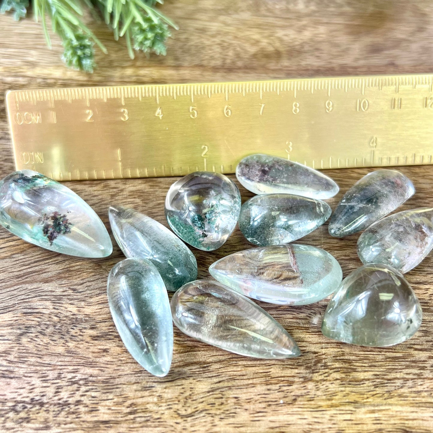 Garden Quartz green teardrop crystal tumbles next to a ruler
