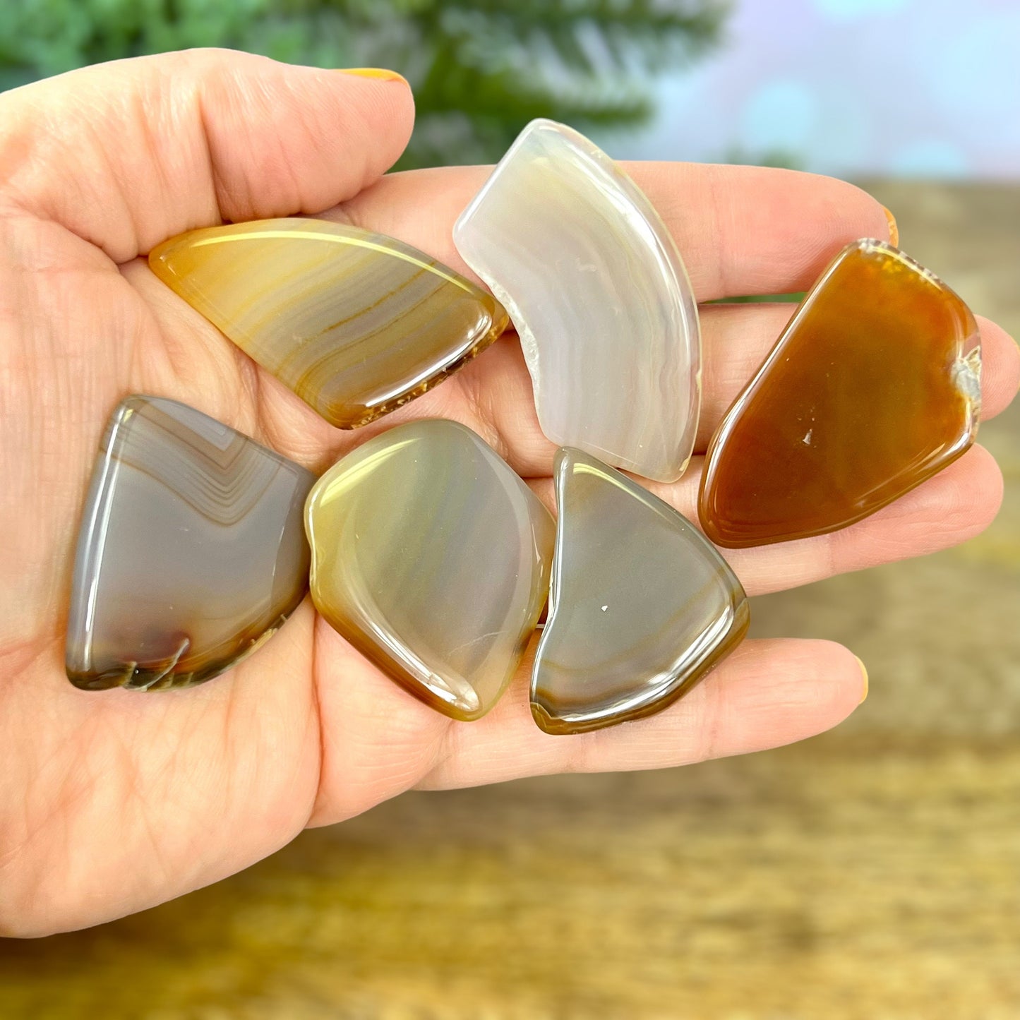 A person holding a bunch of polished agate slices in their hand. Agate crystals are natural and not dyed.