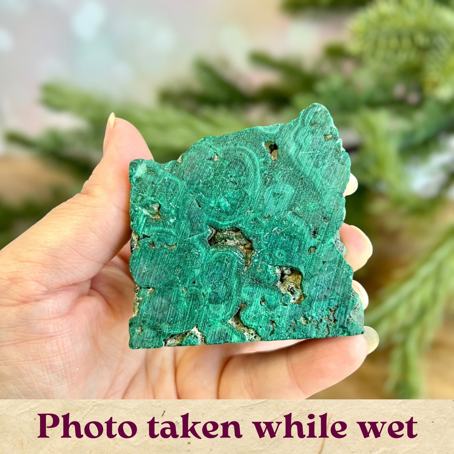 Cut slab of Malachite. Unpolished with a frosted finish. The back is natural and raw.