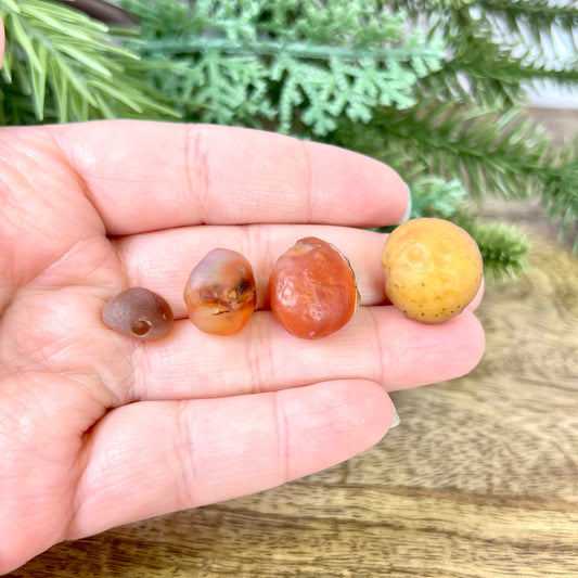 Gobi Desert Agate Natural Raw Crystal - Multiple Sizes