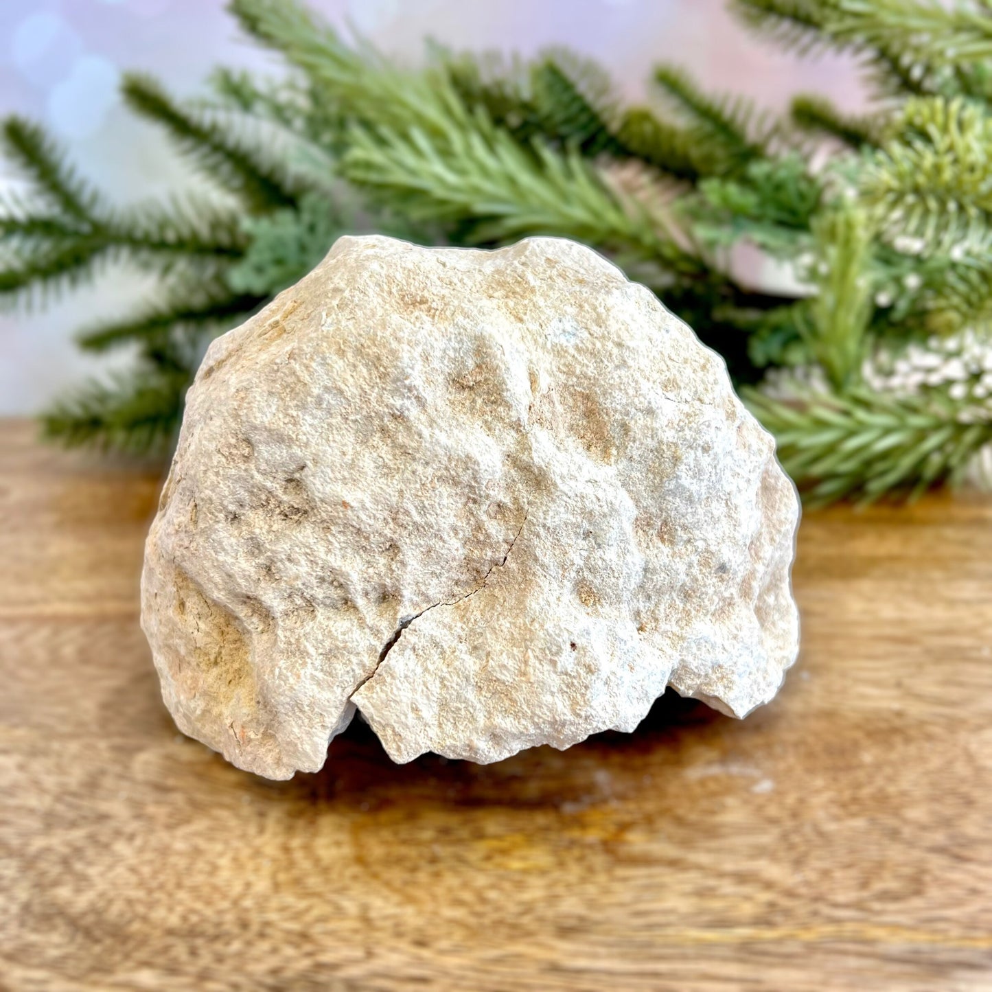 Image of a large Quartz sugar geode from Morocco. Has a sandy beige exterior, and lots of small, white crystals on the inside. Has some pale yellow iron staining on some crystals