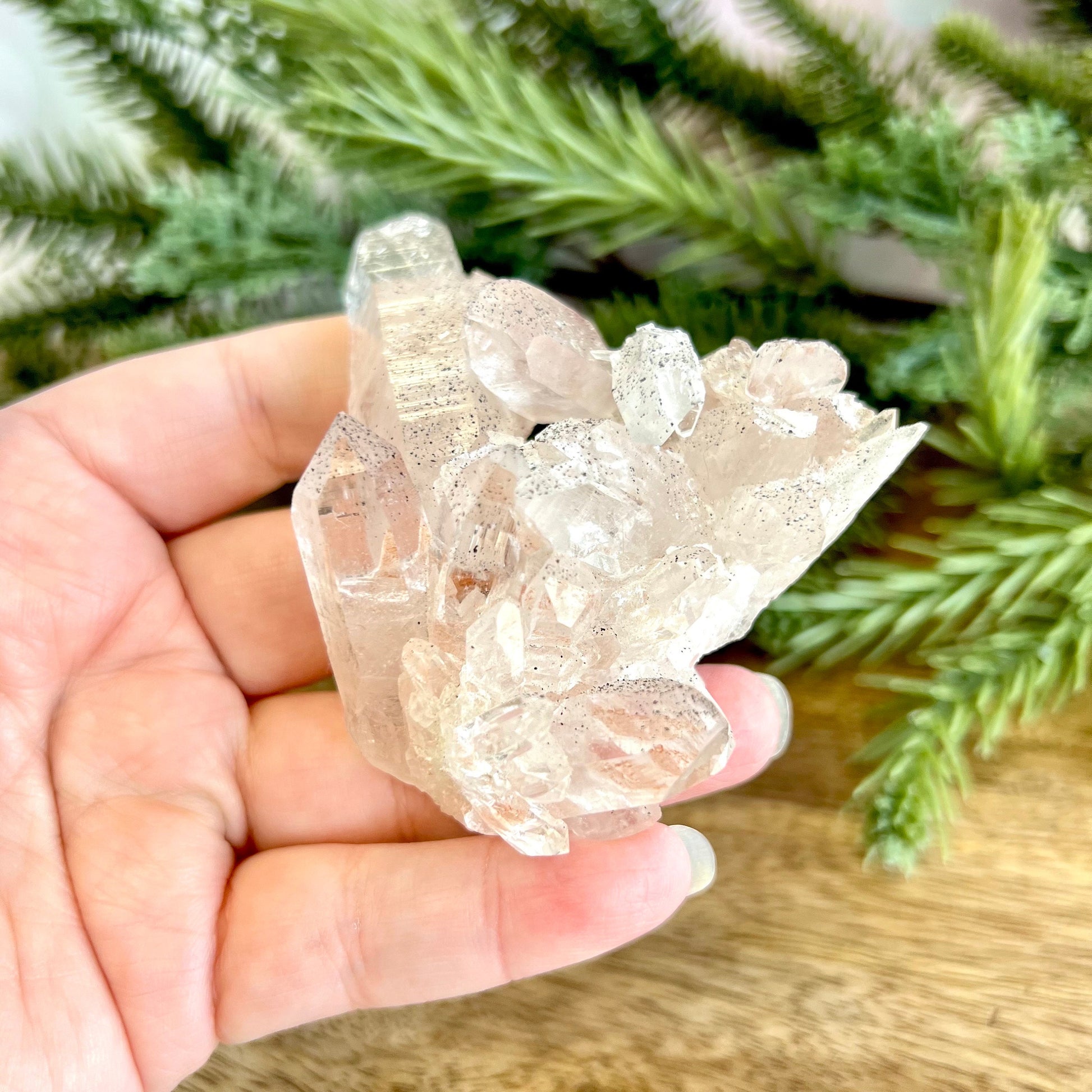 Close up of a Himalayan Quartz crystal cluster covered with small pinprick inclusions of Black Hematite.