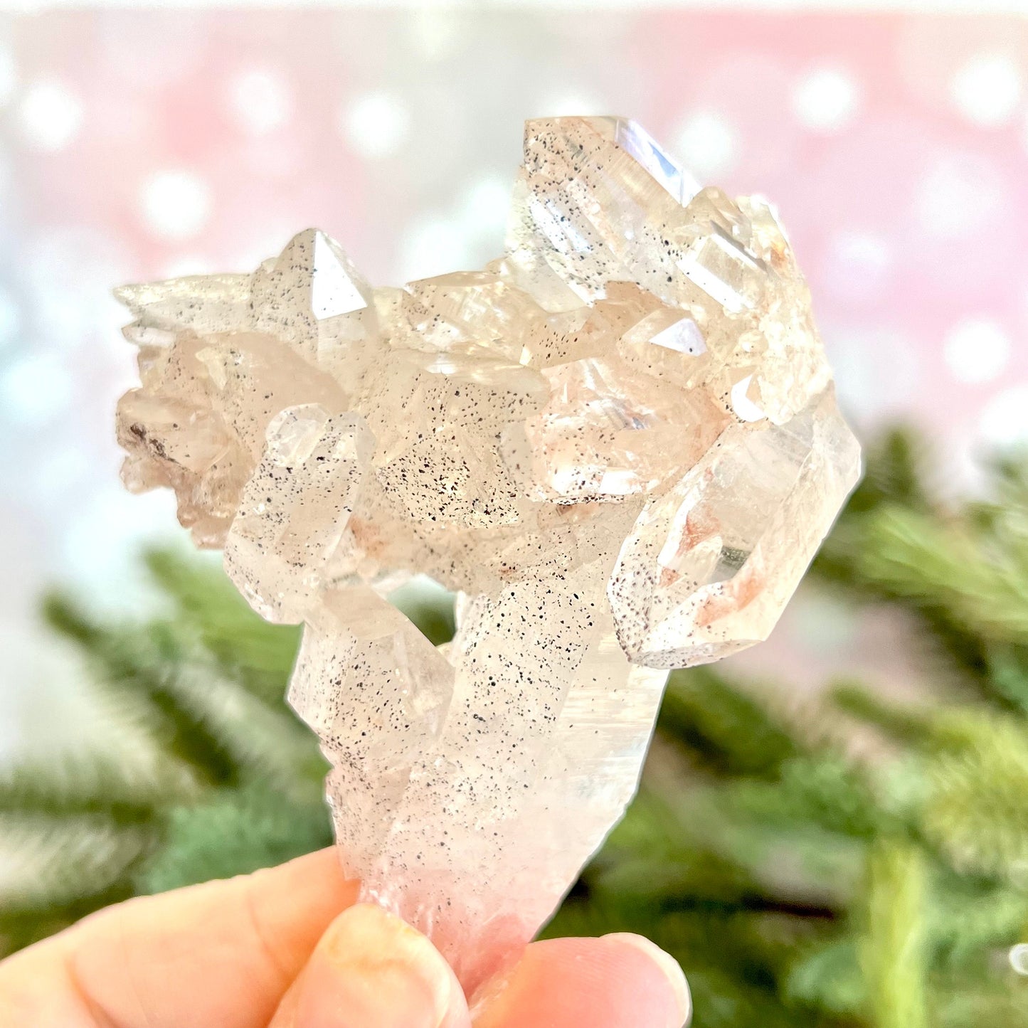 Close up of a Himalayan Quartz crystal cluster covered with small pinprick inclusions of Black Hematite.