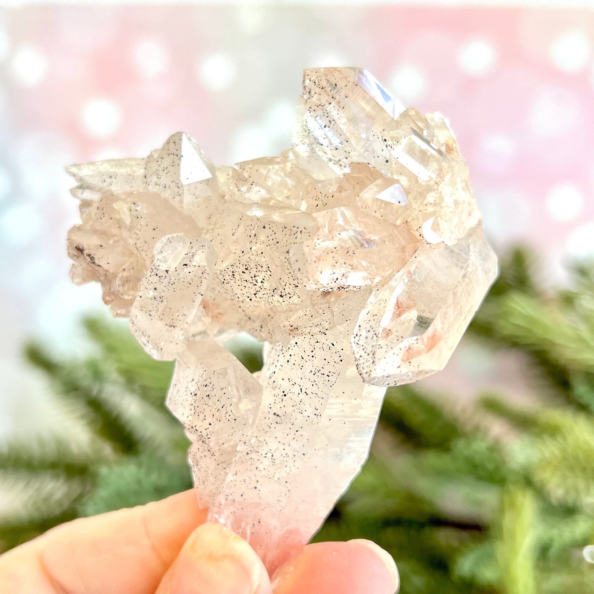 Close up of a Himalayan Quartz crystal cluster covered with small pinprick inclusions of Black Hematite.