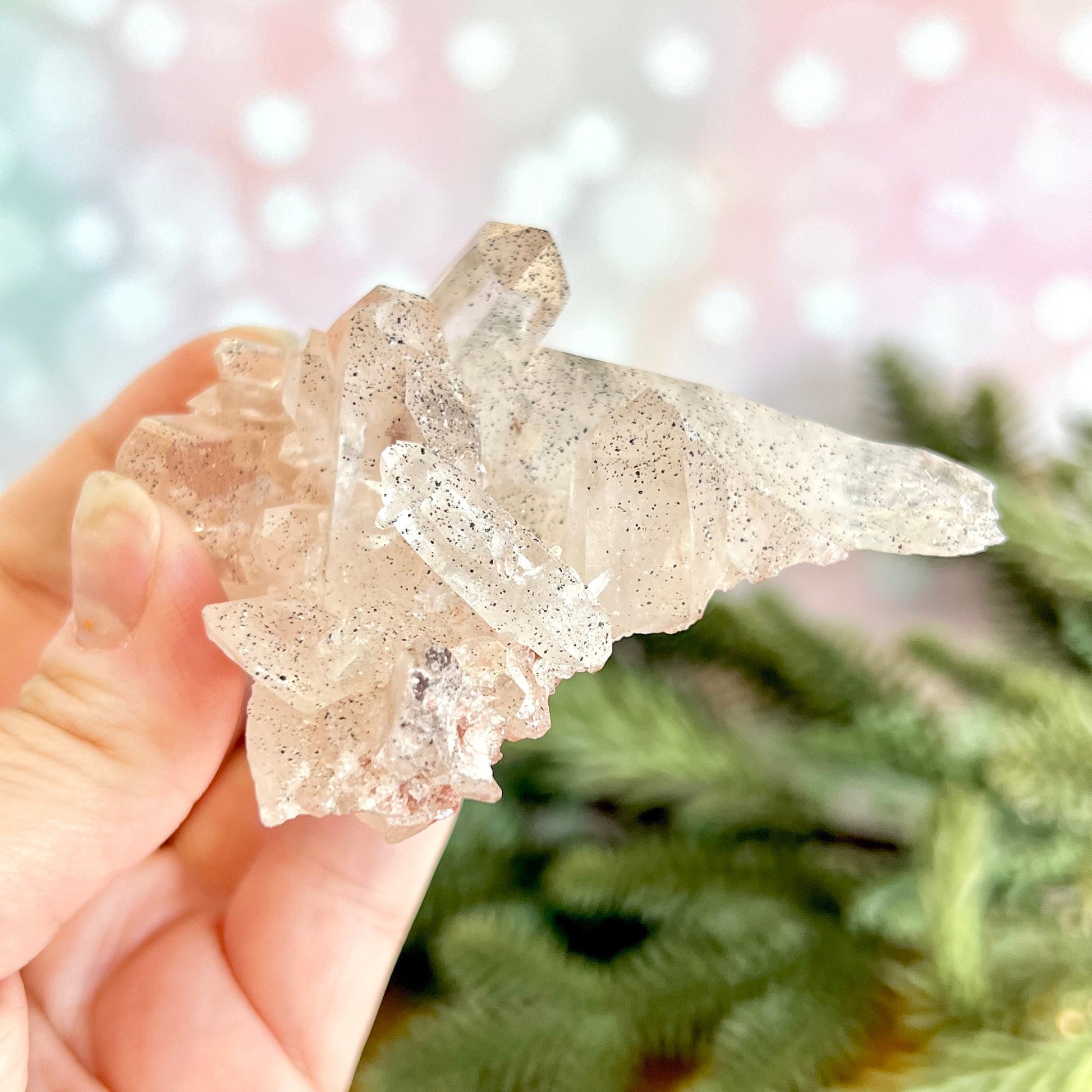 Close up of a Himalayan Quartz crystal cluster covered with small pinprick inclusions of Black Hematite.