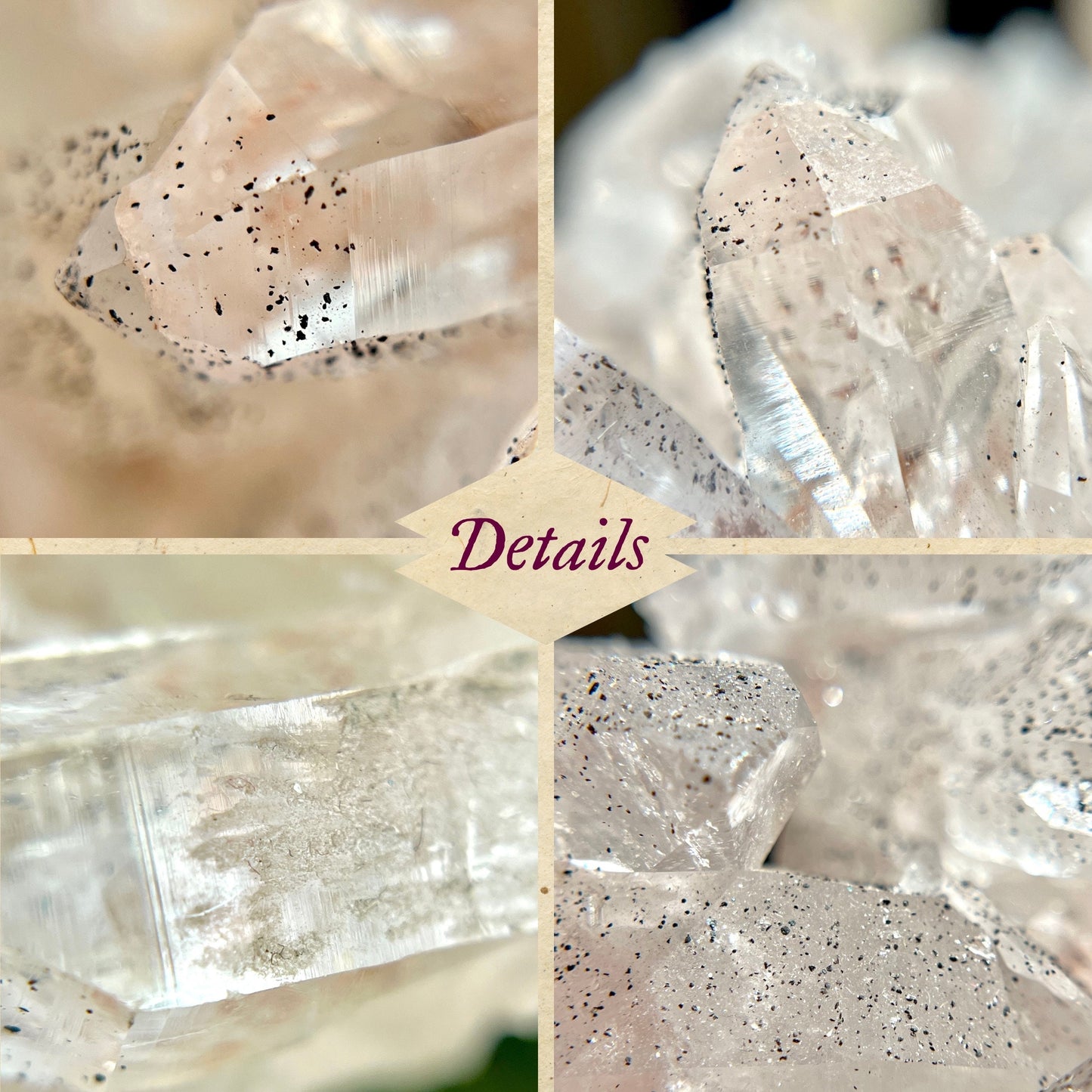 Close up of a Himalayan Quartz crystal cluster covered with small pinprick inclusions of Black Hematite.